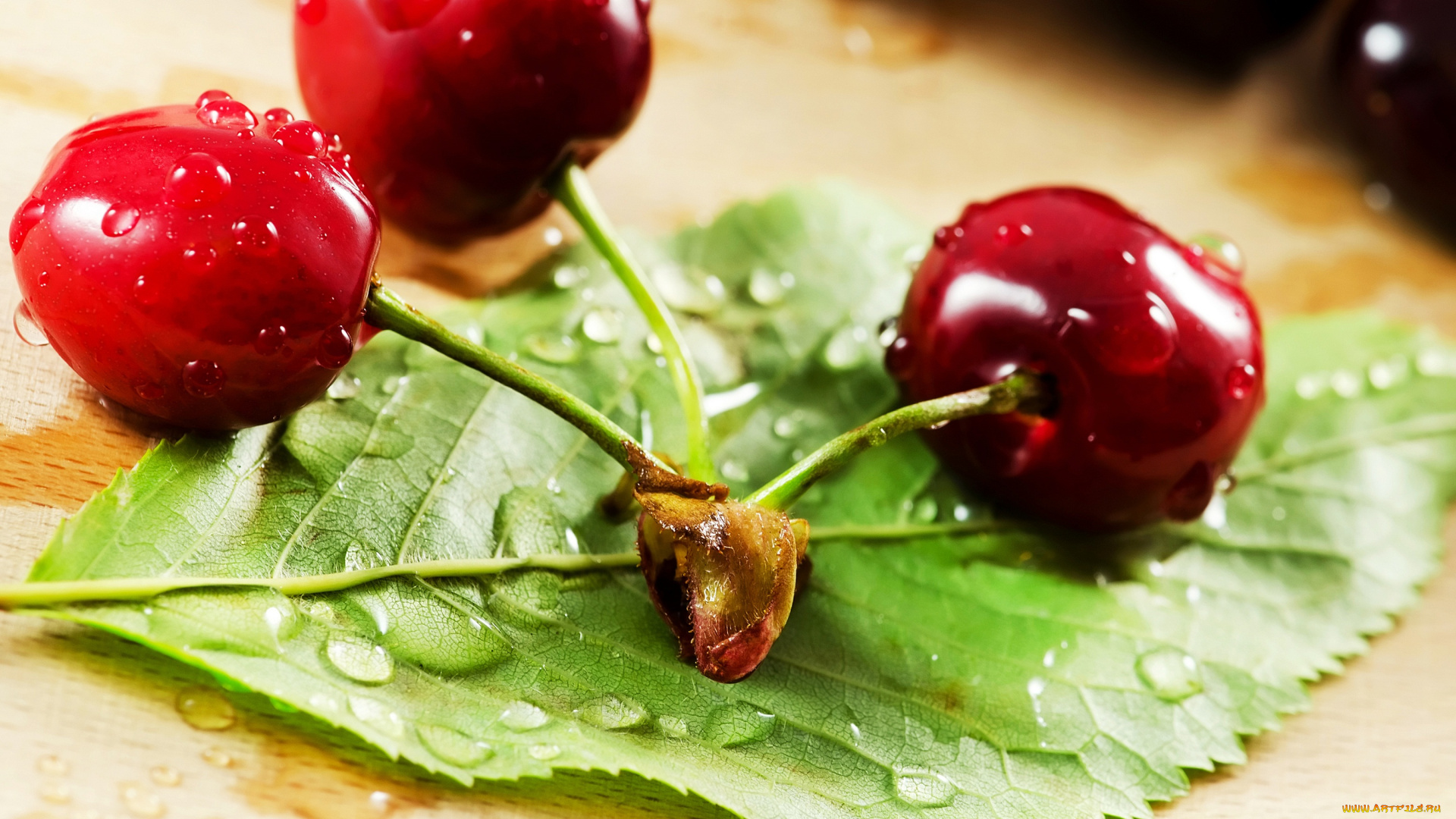 еда, вишня, , черешня, листик, три, черешинки, веточка