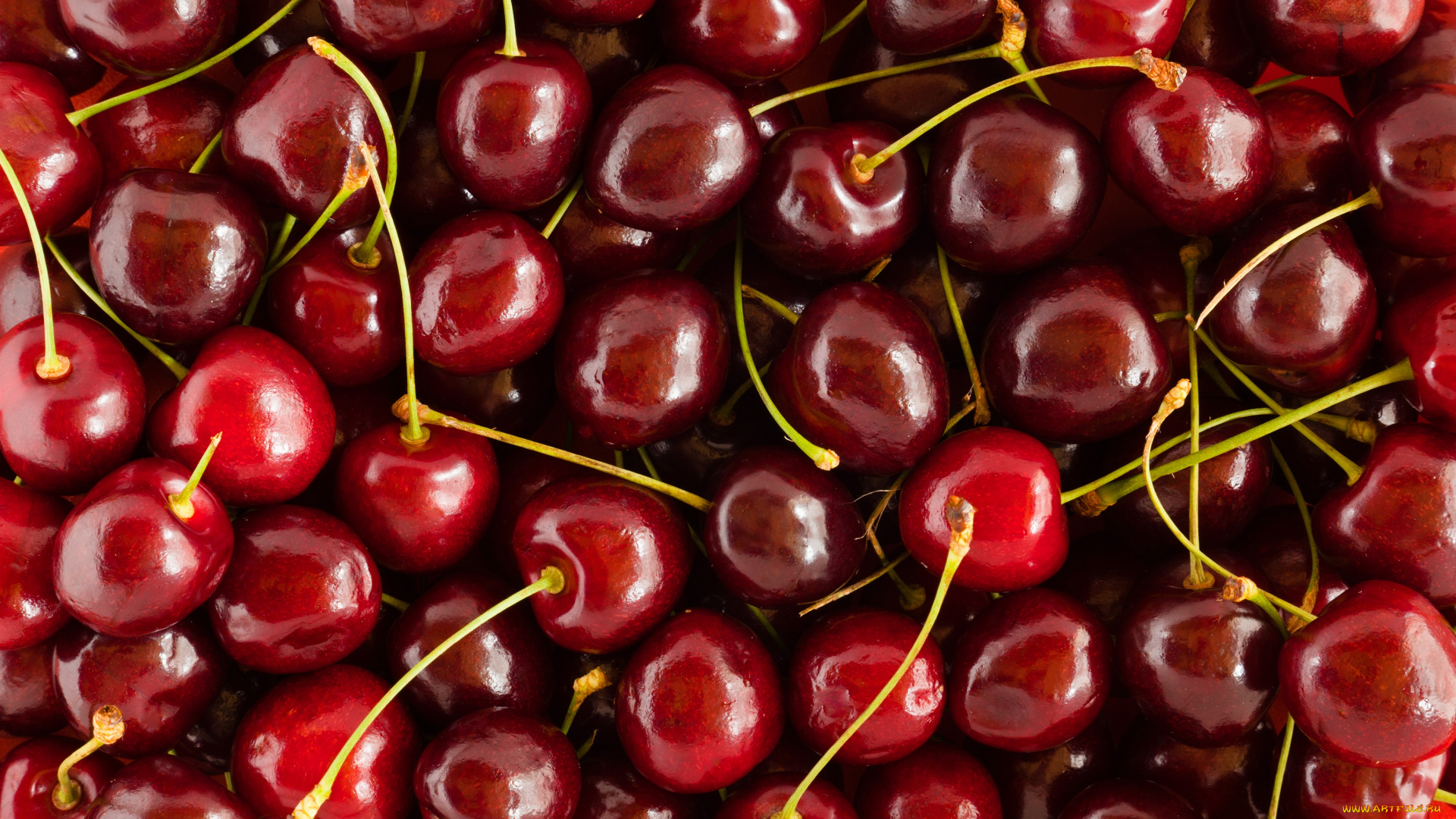 еда, вишня, , черешня, веточки, черешня, красная, много