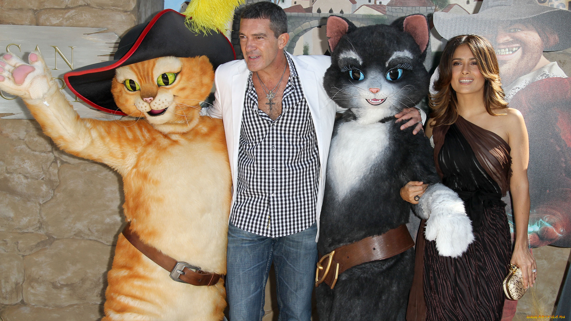 разное, знаменитости, сапоги, шляпа, кошка, кот, актер, бандерас, актриса, salma, hayek