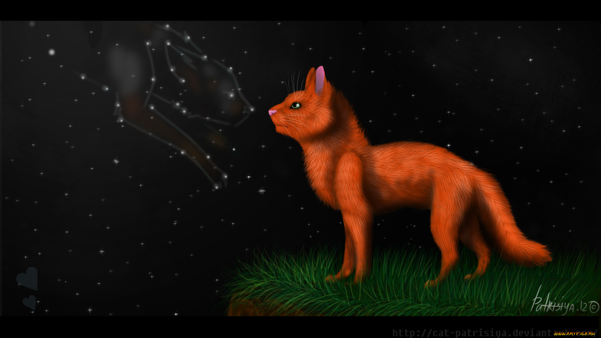 рисованные, животные, , коты, кот, ночь, взгляд