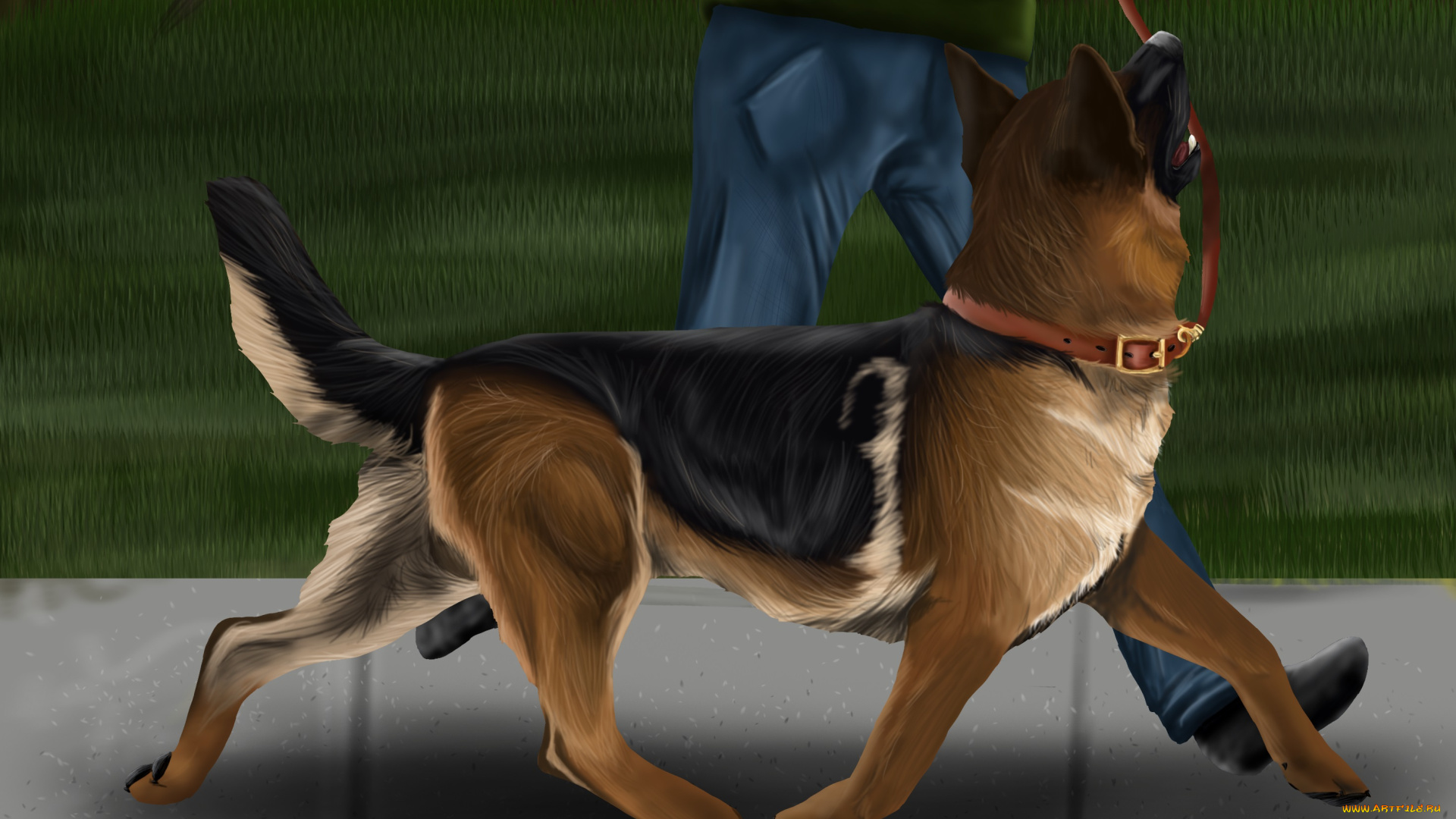 рисованные, животные, , собаки, собака, поводок