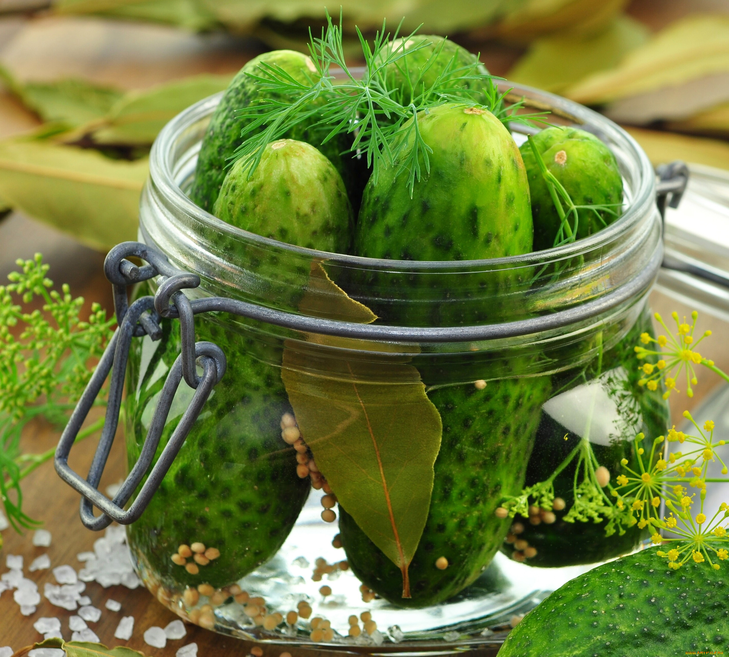 еда, огурцы, банка, огурчики
