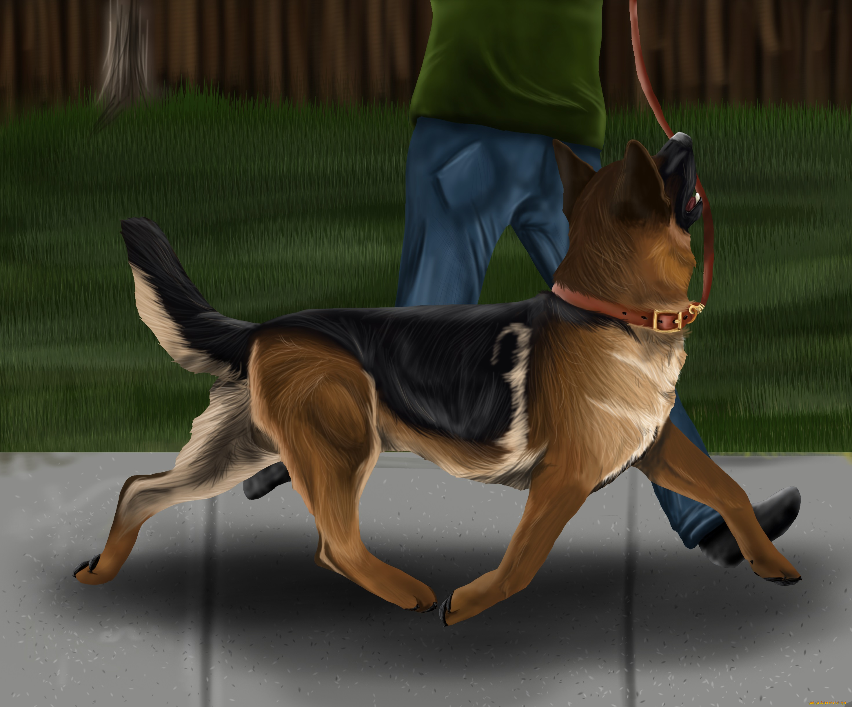 рисованные, животные, , собаки, собака, поводок