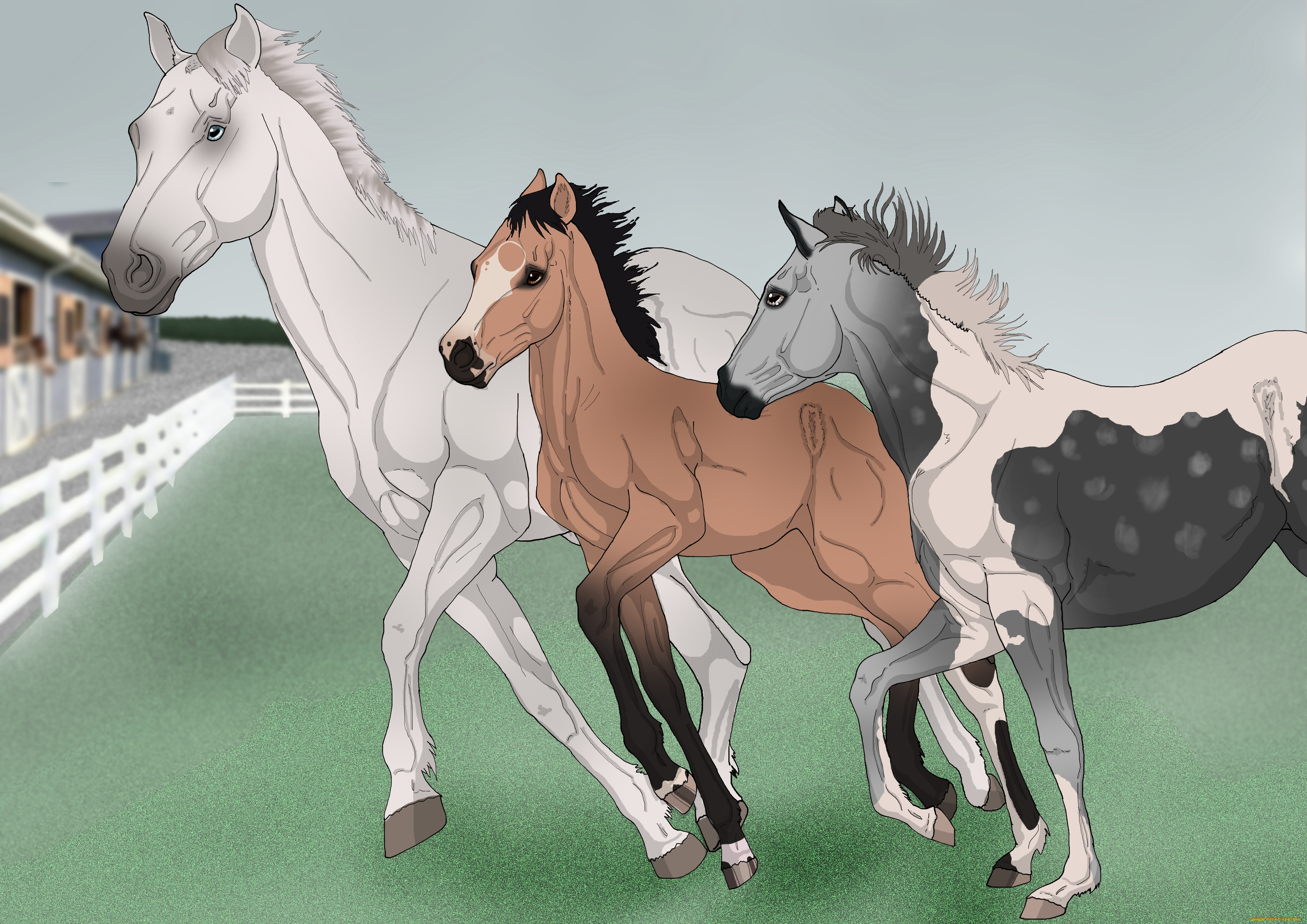 рисованные, животные, , лошади, лошади