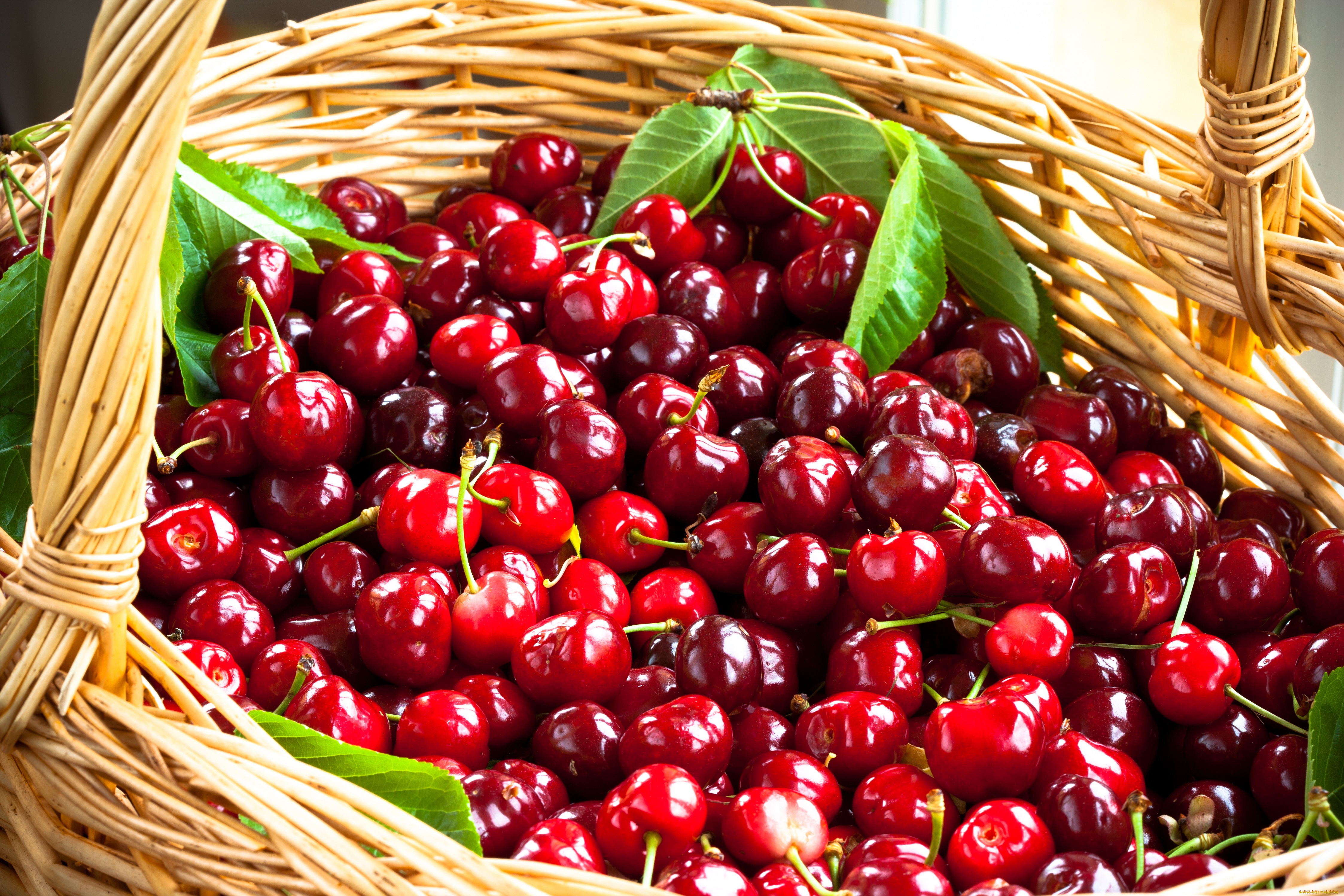еда, вишня, , черешня, корзина, фрукты, черешня, basket, fruit, cherries