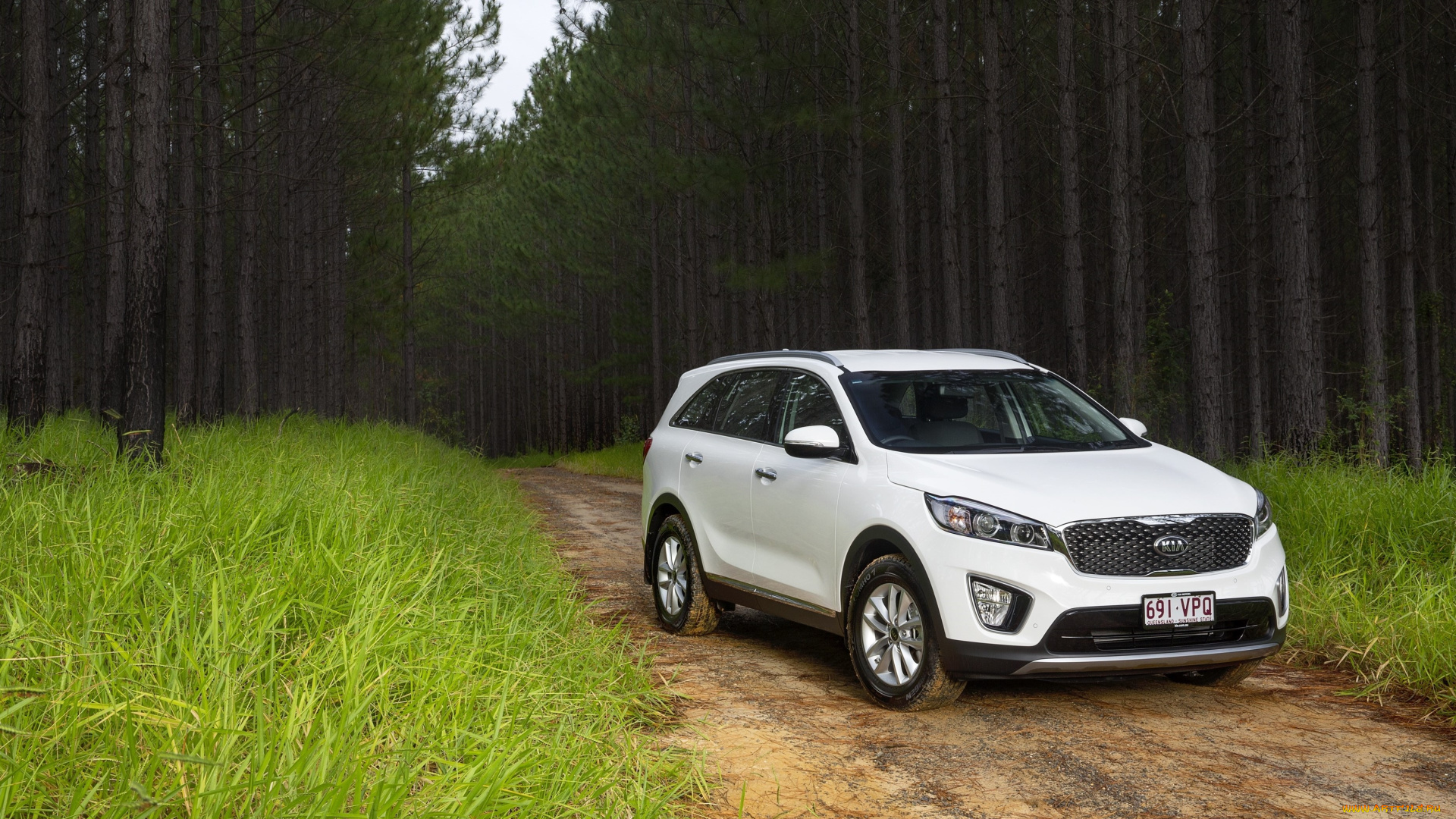 автомобили, kia, sorento, 2015г, светлый, um, au-spec