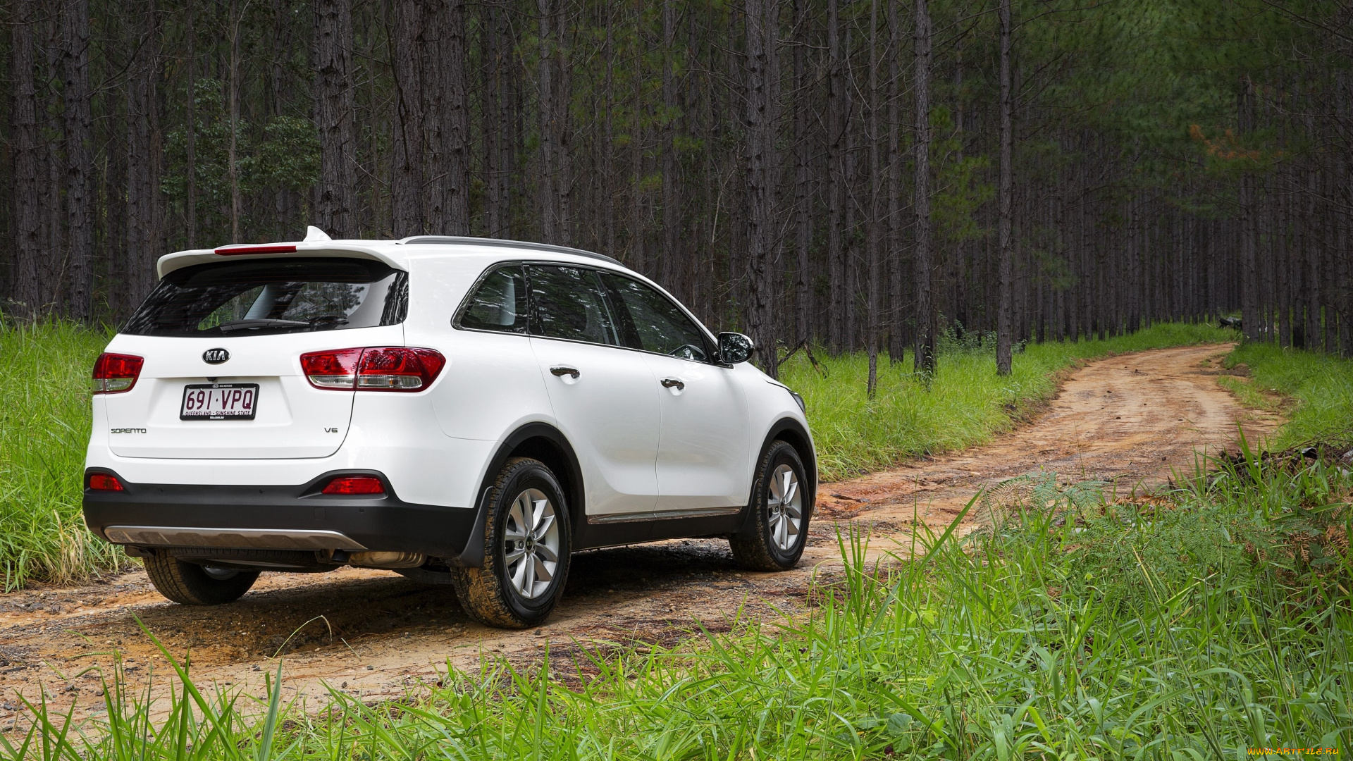 автомобили, kia, um, au-spec, sorento, светлый, 2015г