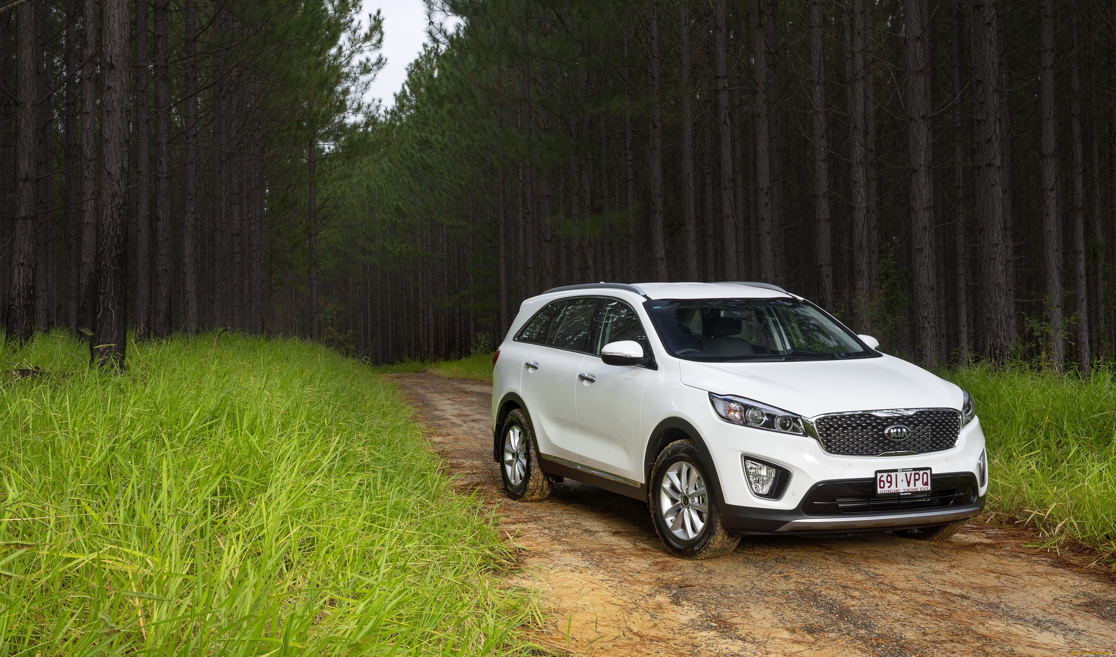 автомобили, kia, sorento, 2015г, светлый, um, au-spec