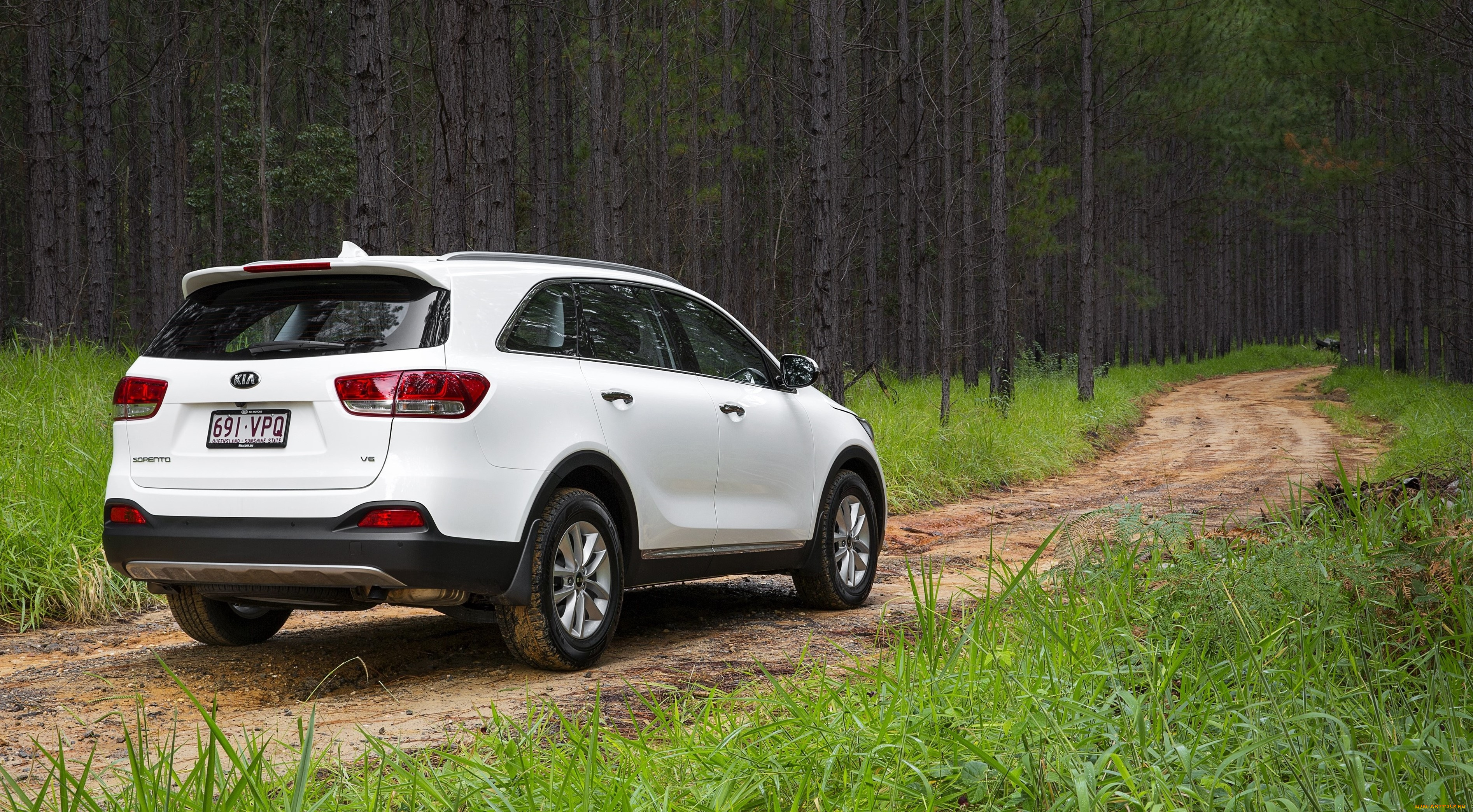 автомобили, kia, um, au-spec, sorento, светлый, 2015г