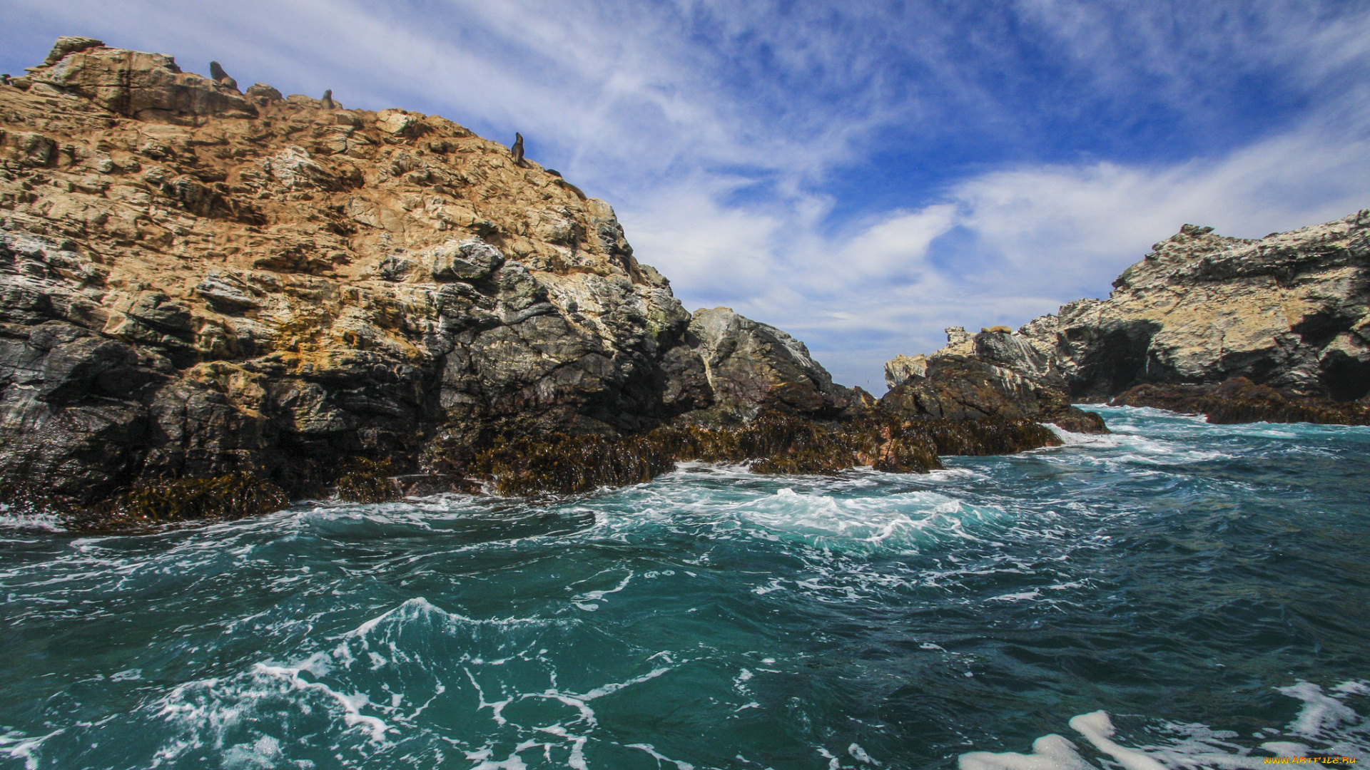 природа, побережье, море, берег