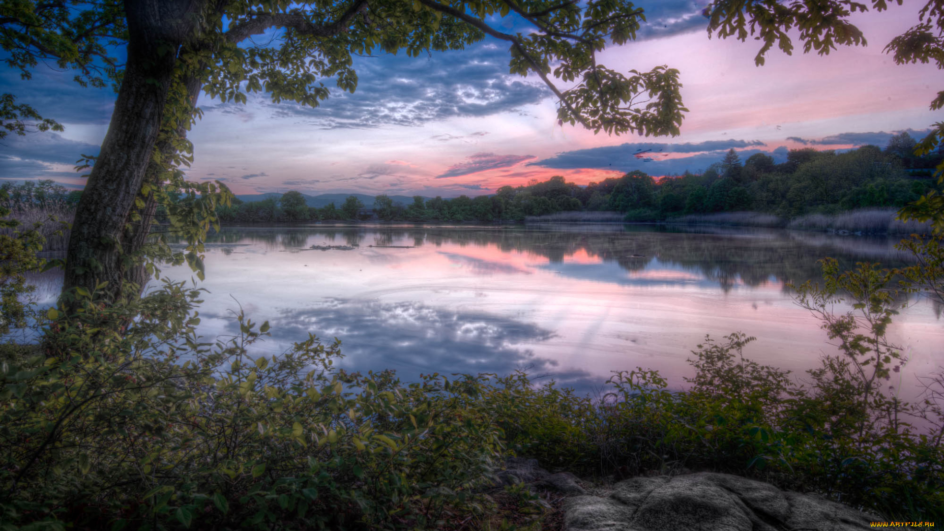 природа, реки, озера, лес, река