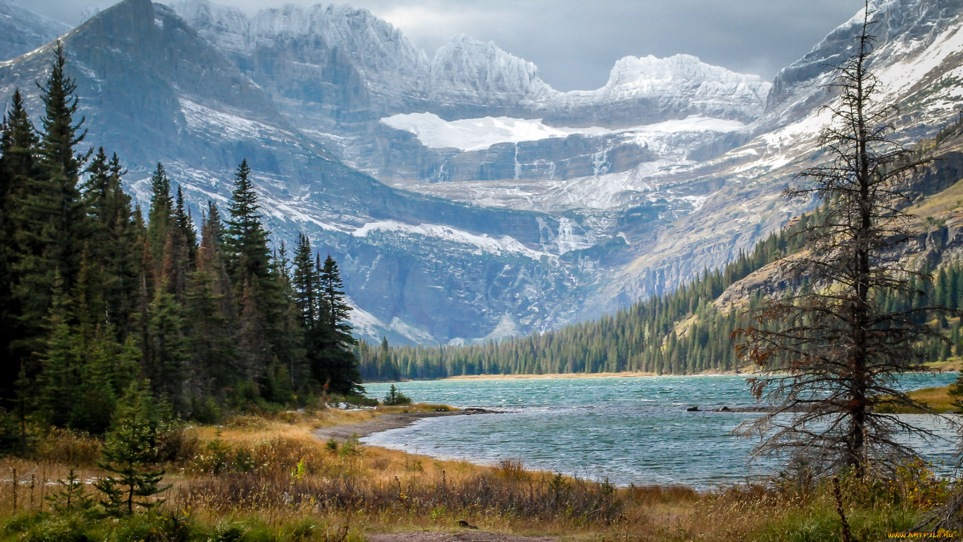 природа, реки, озера, лес, река