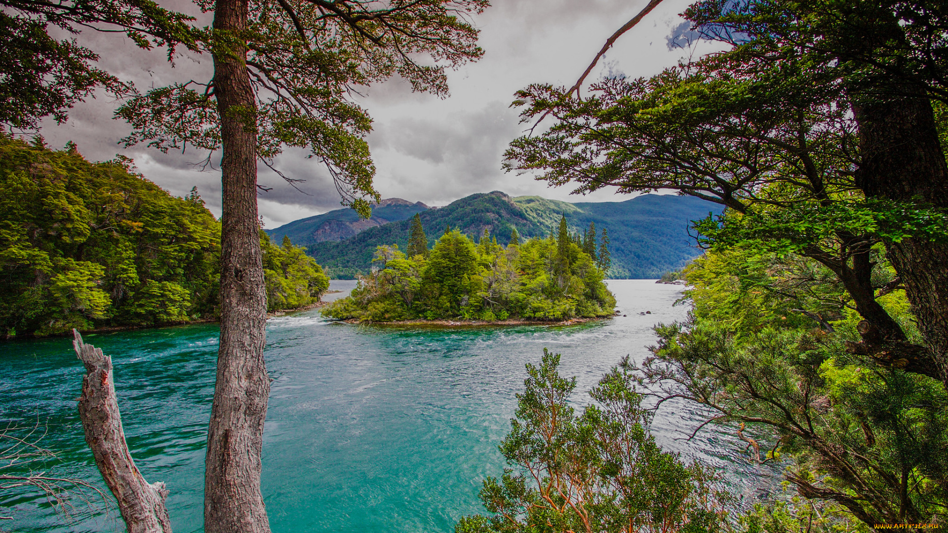 природа, реки, озера, лес, река