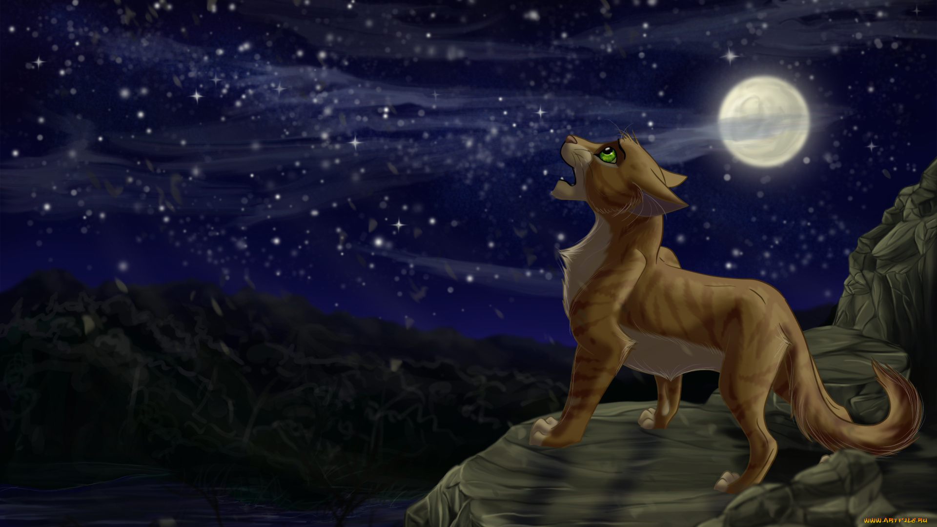рисованное, животные, , коты, ночь, кот