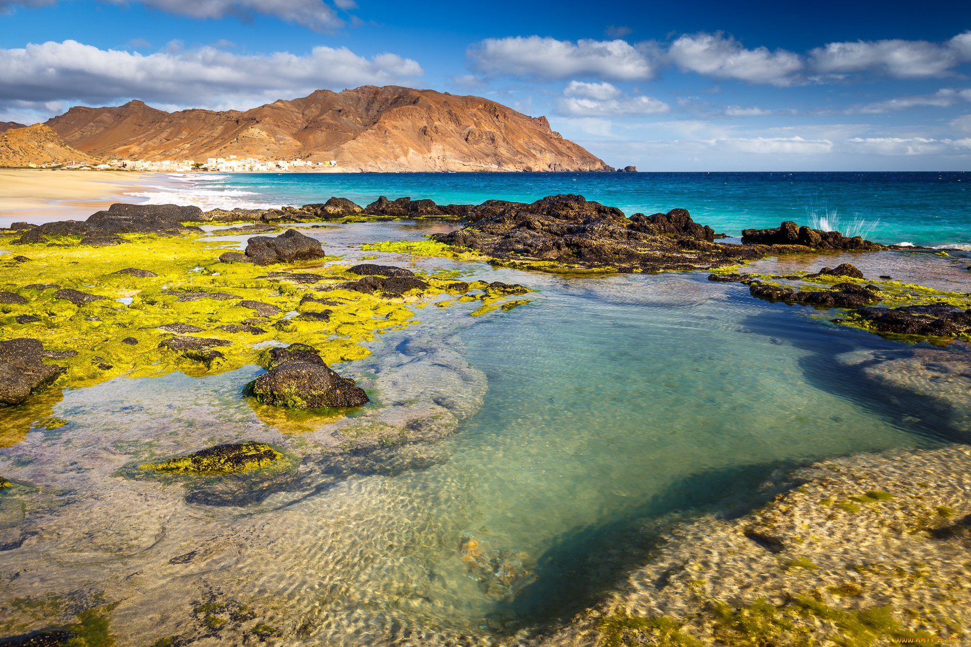 природа, побережье, море, берег