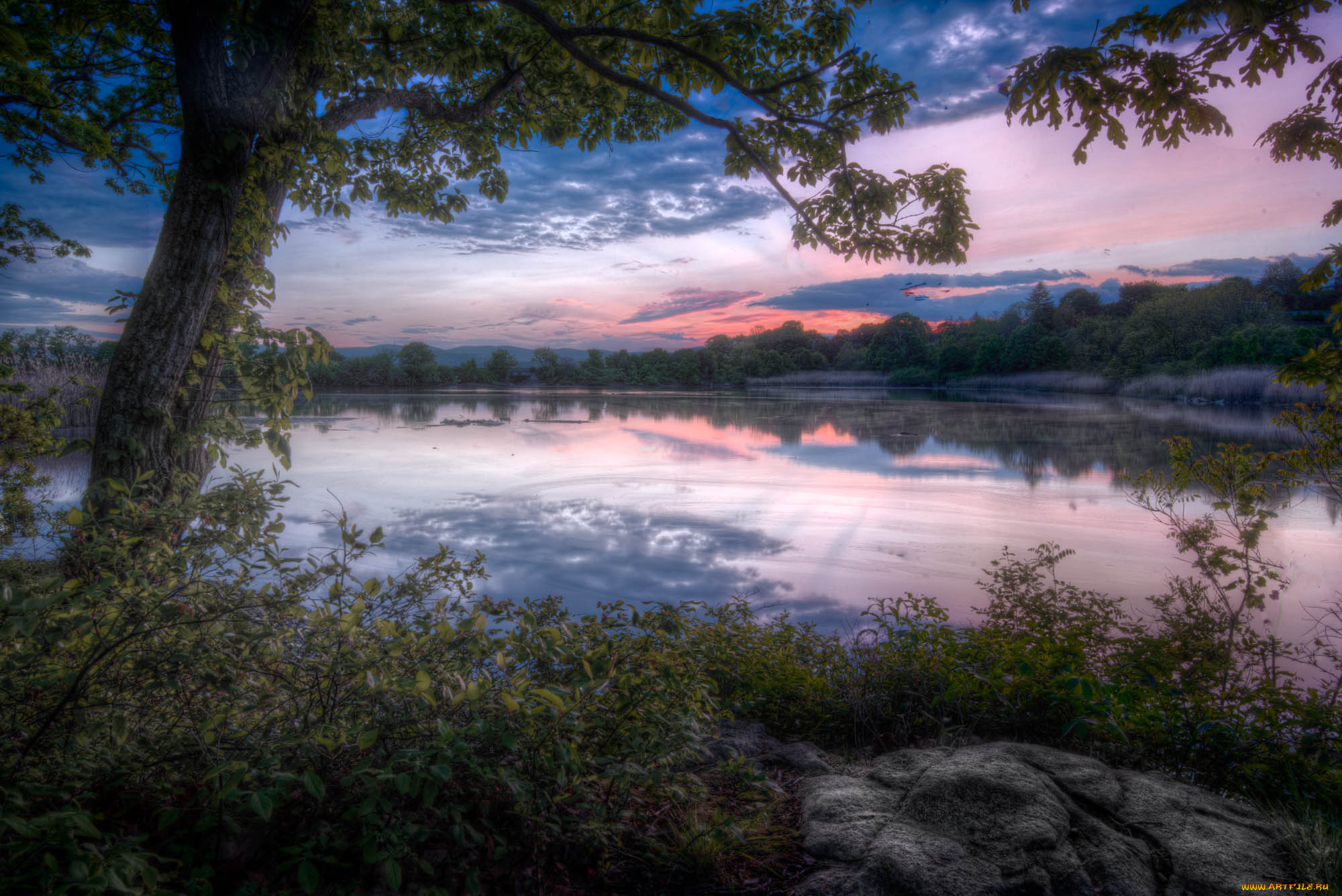 природа, реки, озера, лес, река