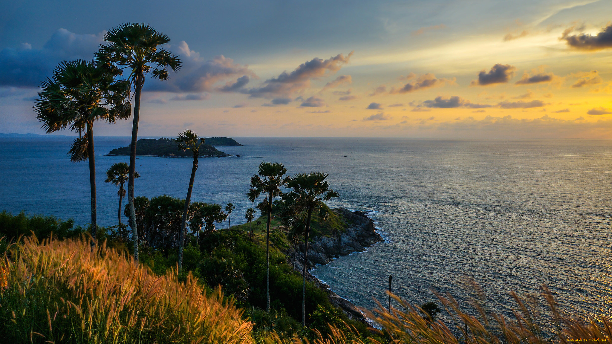 природа, побережье, море, берег