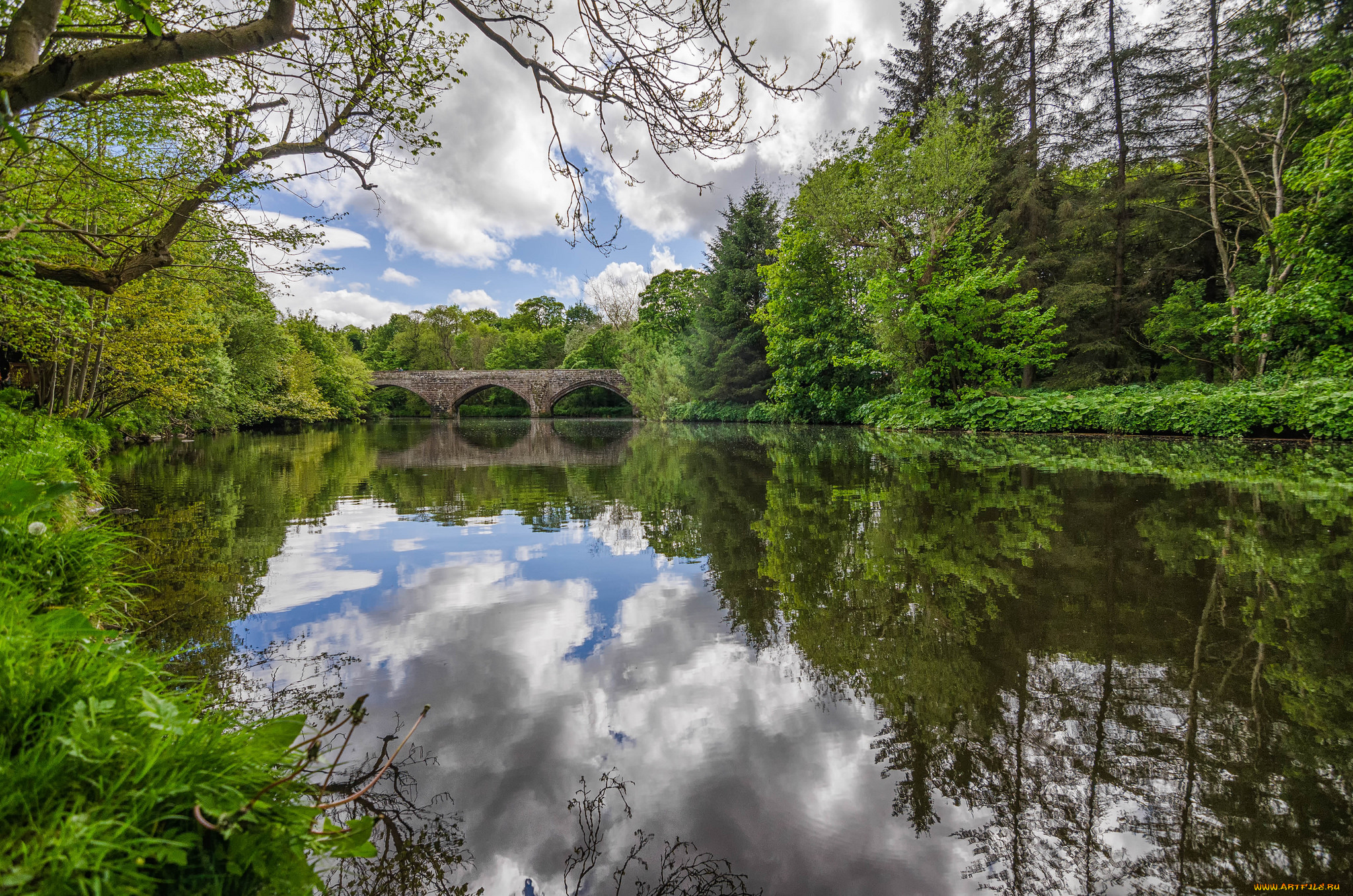 природа, реки, озера, лес, река