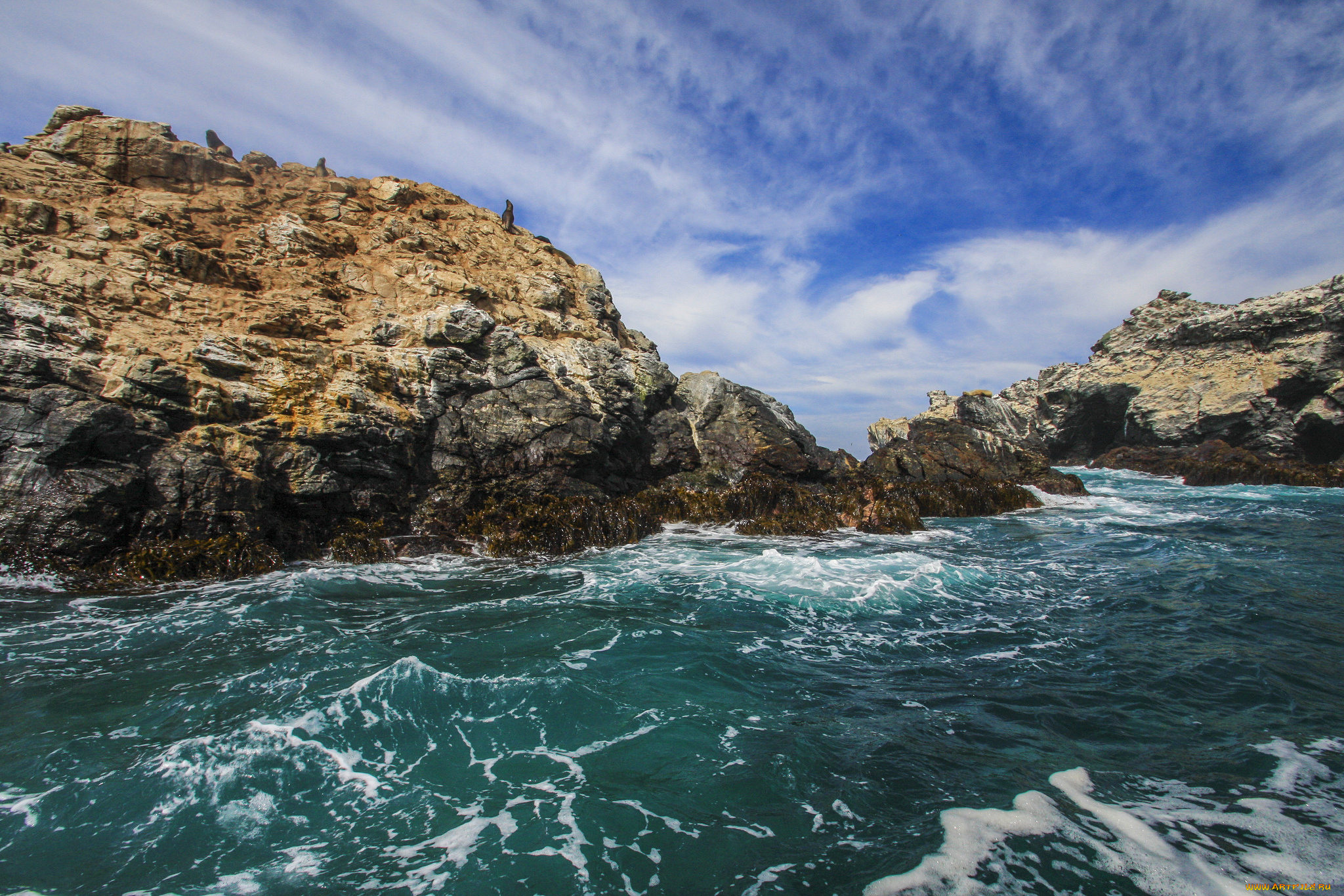 природа, побережье, море, берег