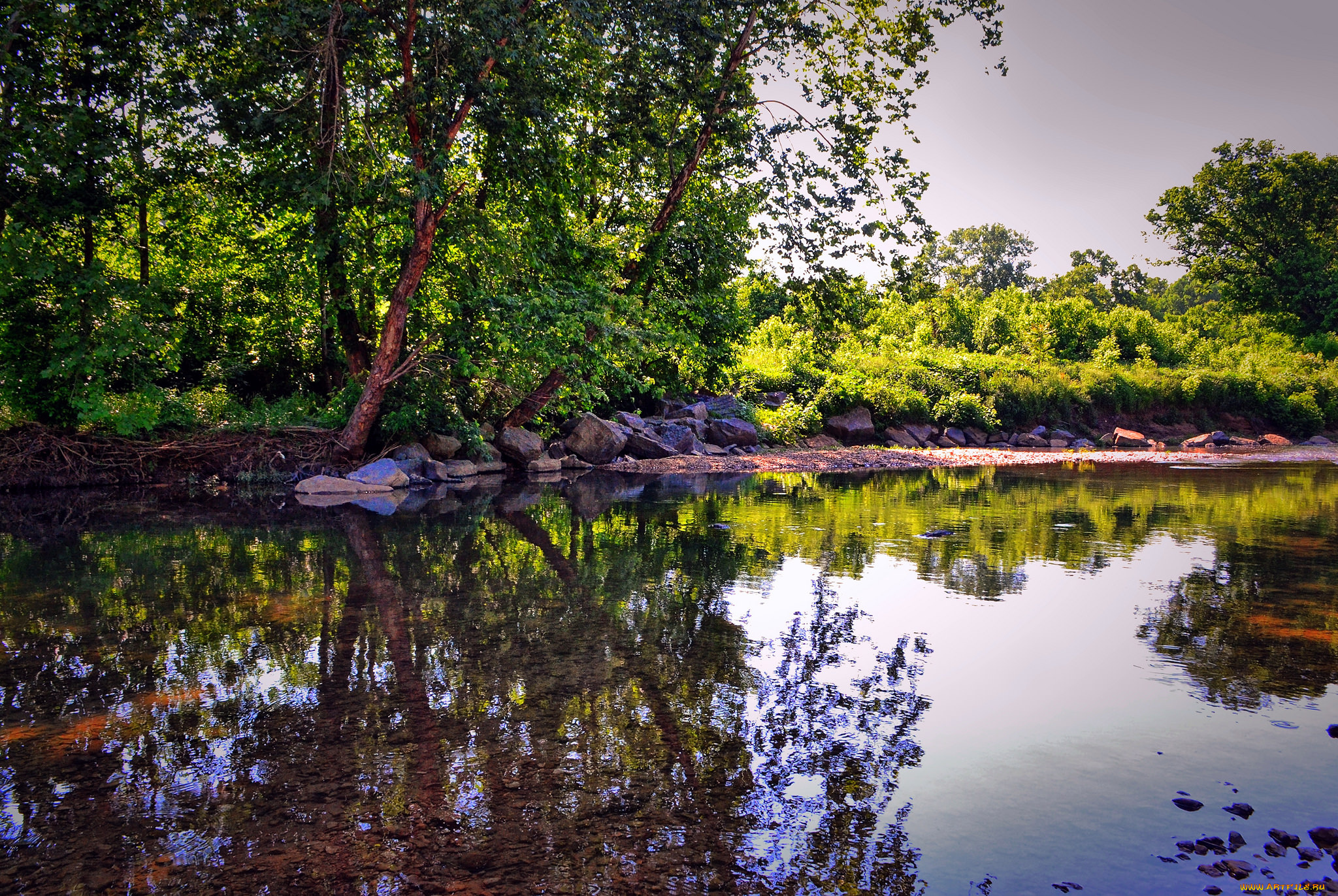 природа, реки, озера, лес, река