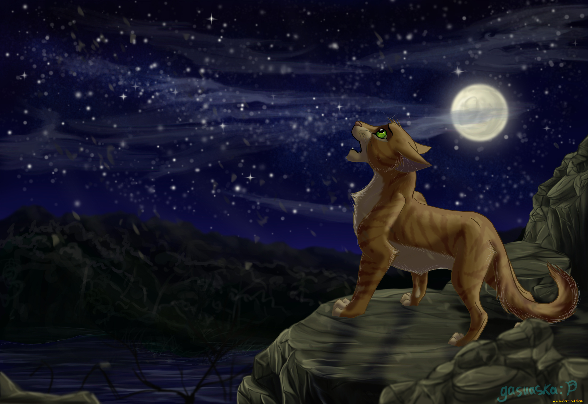 рисованное, животные, , коты, ночь, кот