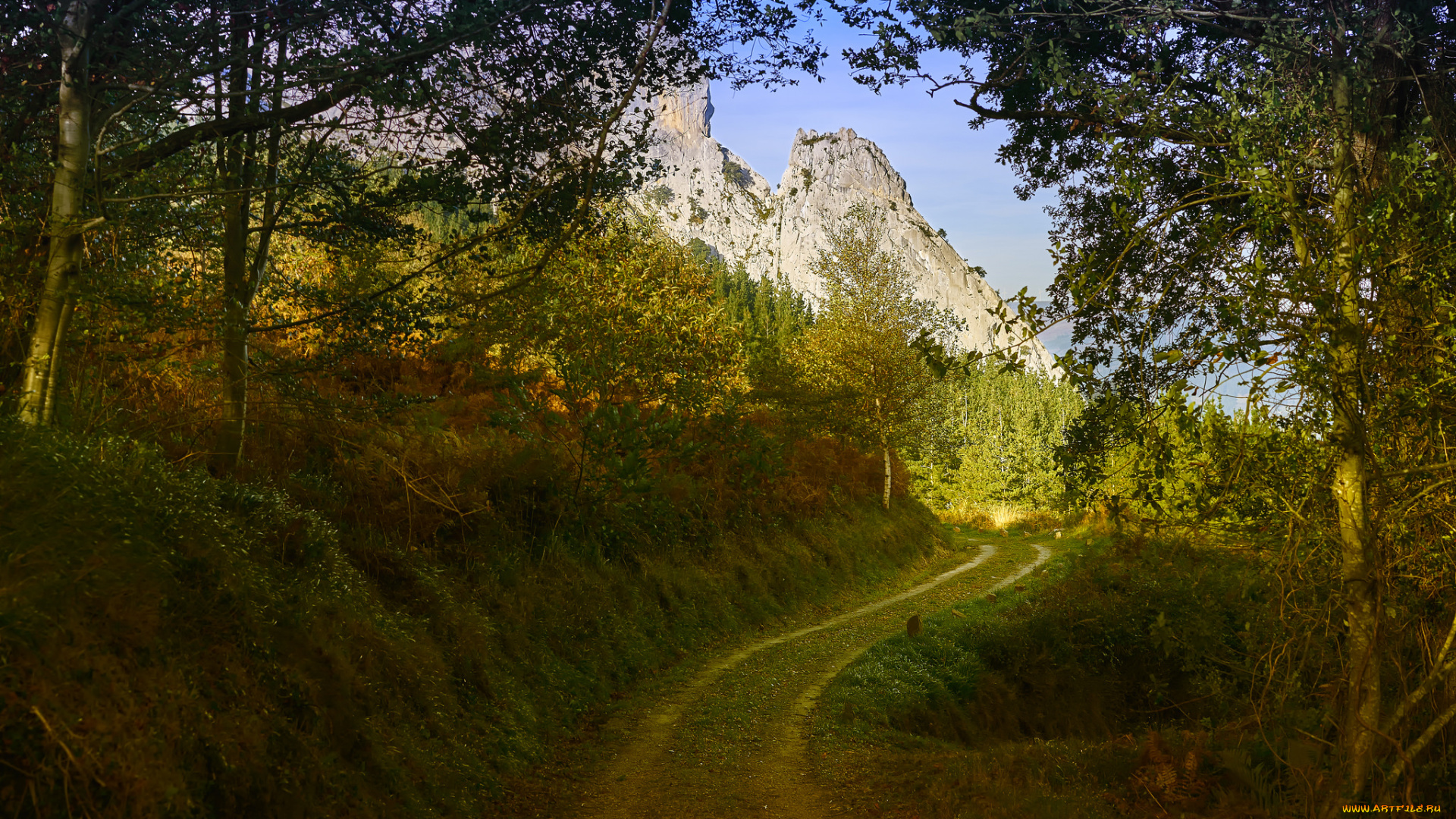 природа, дороги, тракт