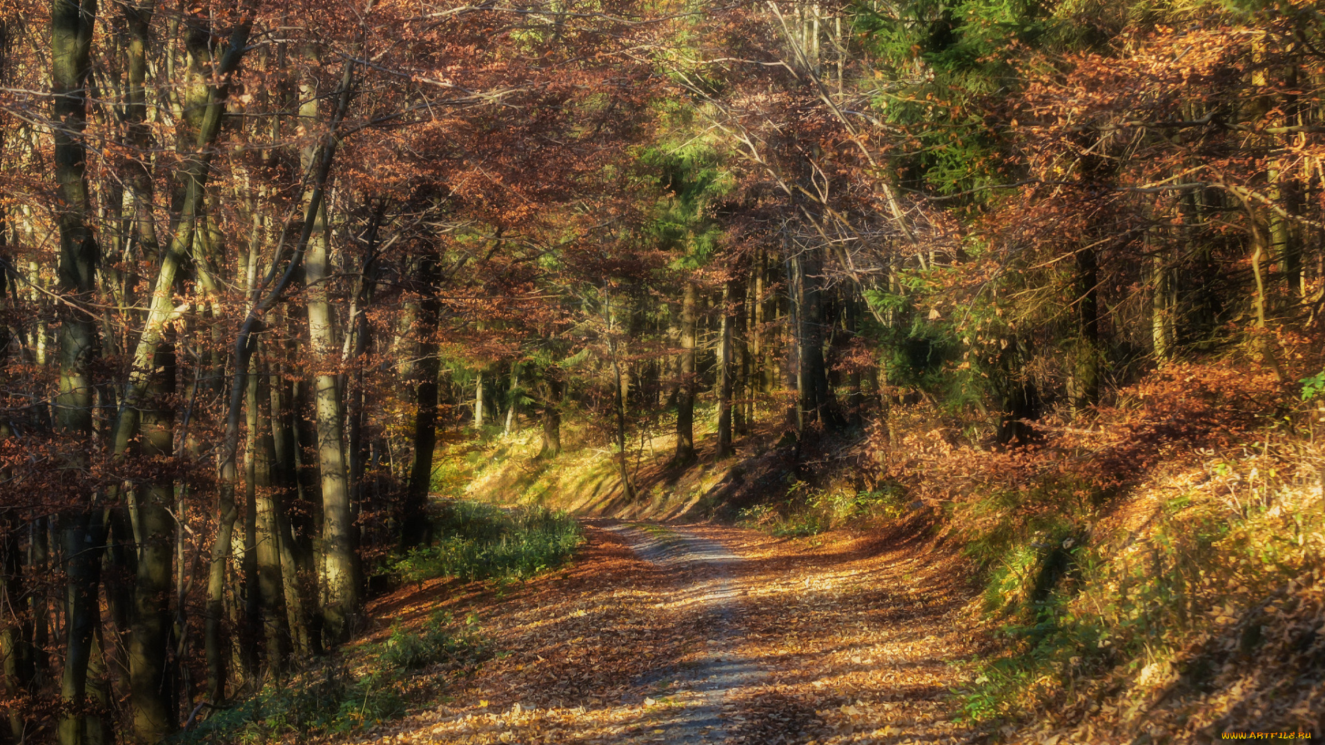 природа, дороги, тракт