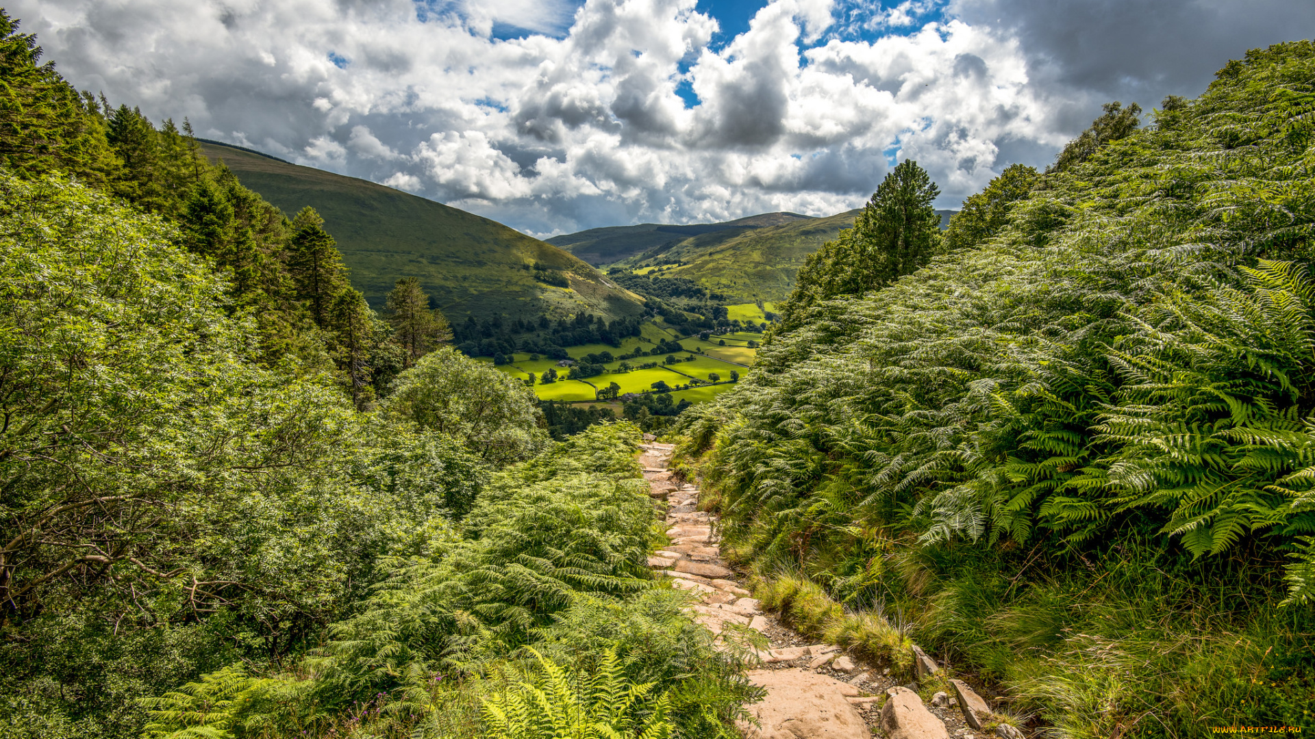 природа, дороги, тракт