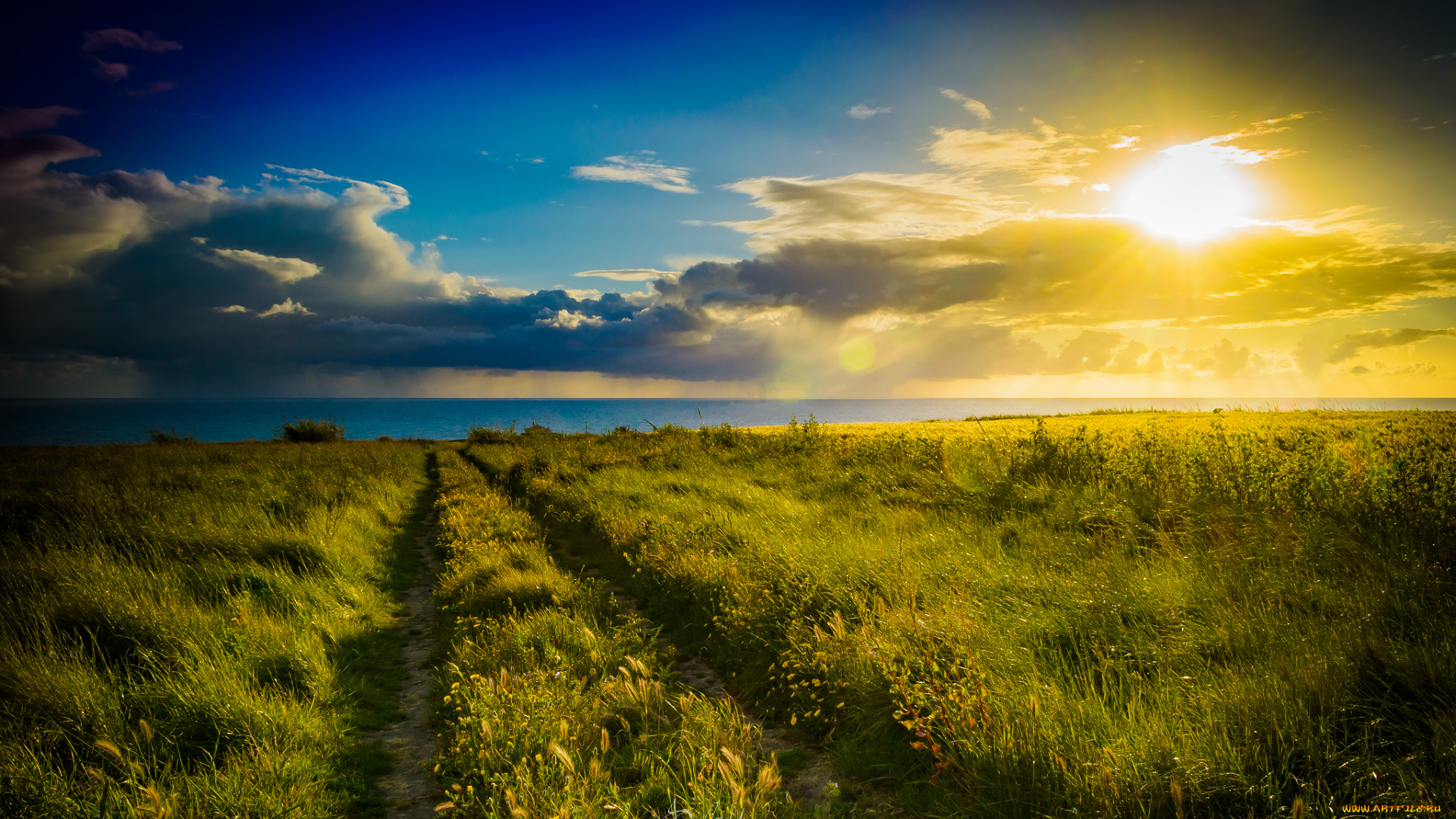 природа, дороги, тракт