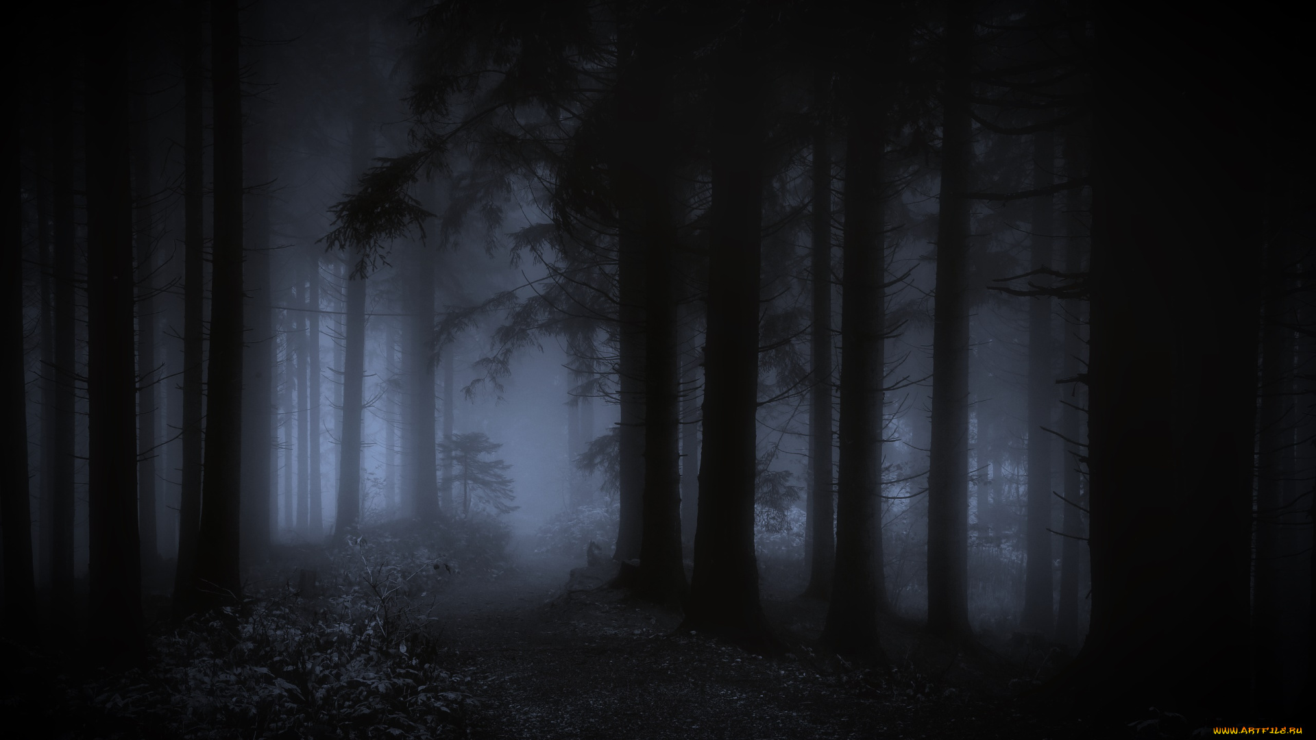 природа, лес, ночь