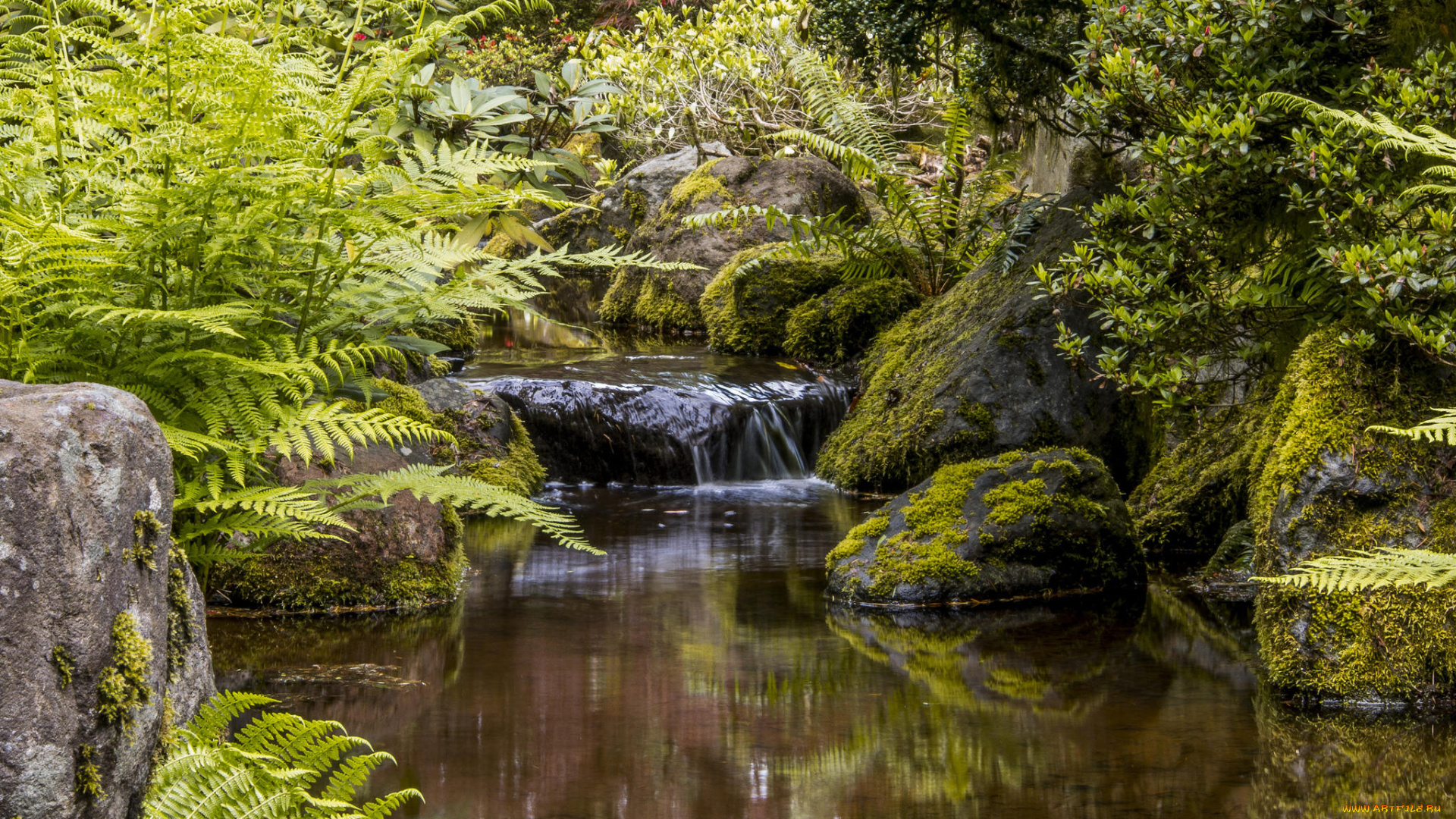 природа, парк, portland, japanese, garden, орегон, портленд, портлендский, Японский, сад