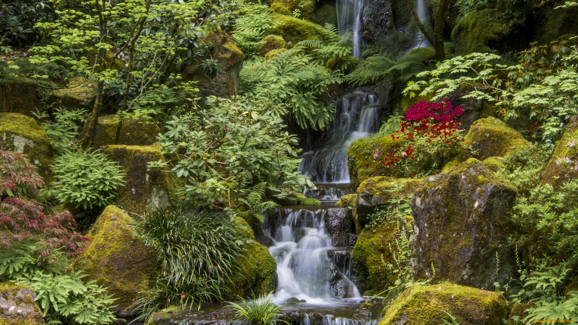 природа, парк, портленд, портлендский, Японский, сад, орегон, portland, japanese, garden