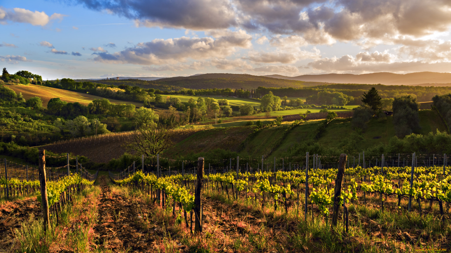 природа, пейзажи, простор