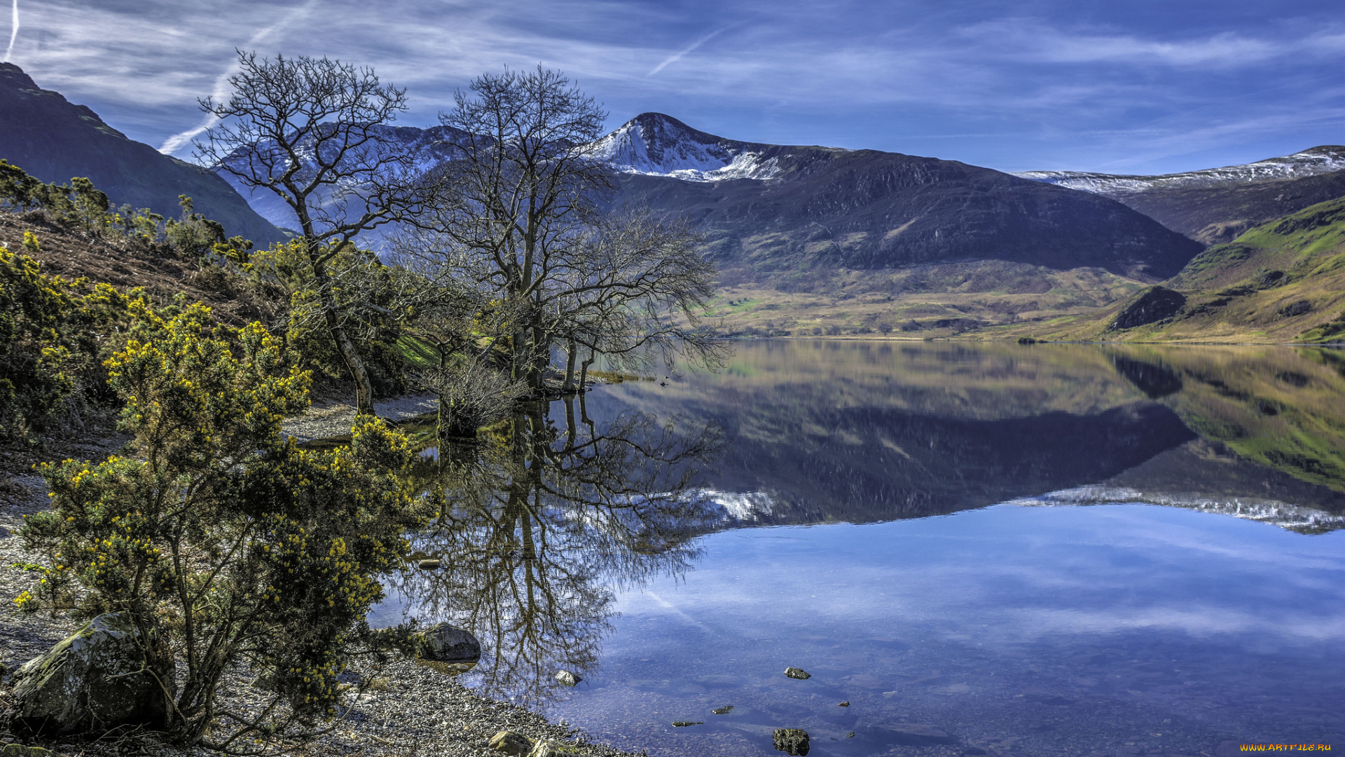 природа, реки, озера, лес, река