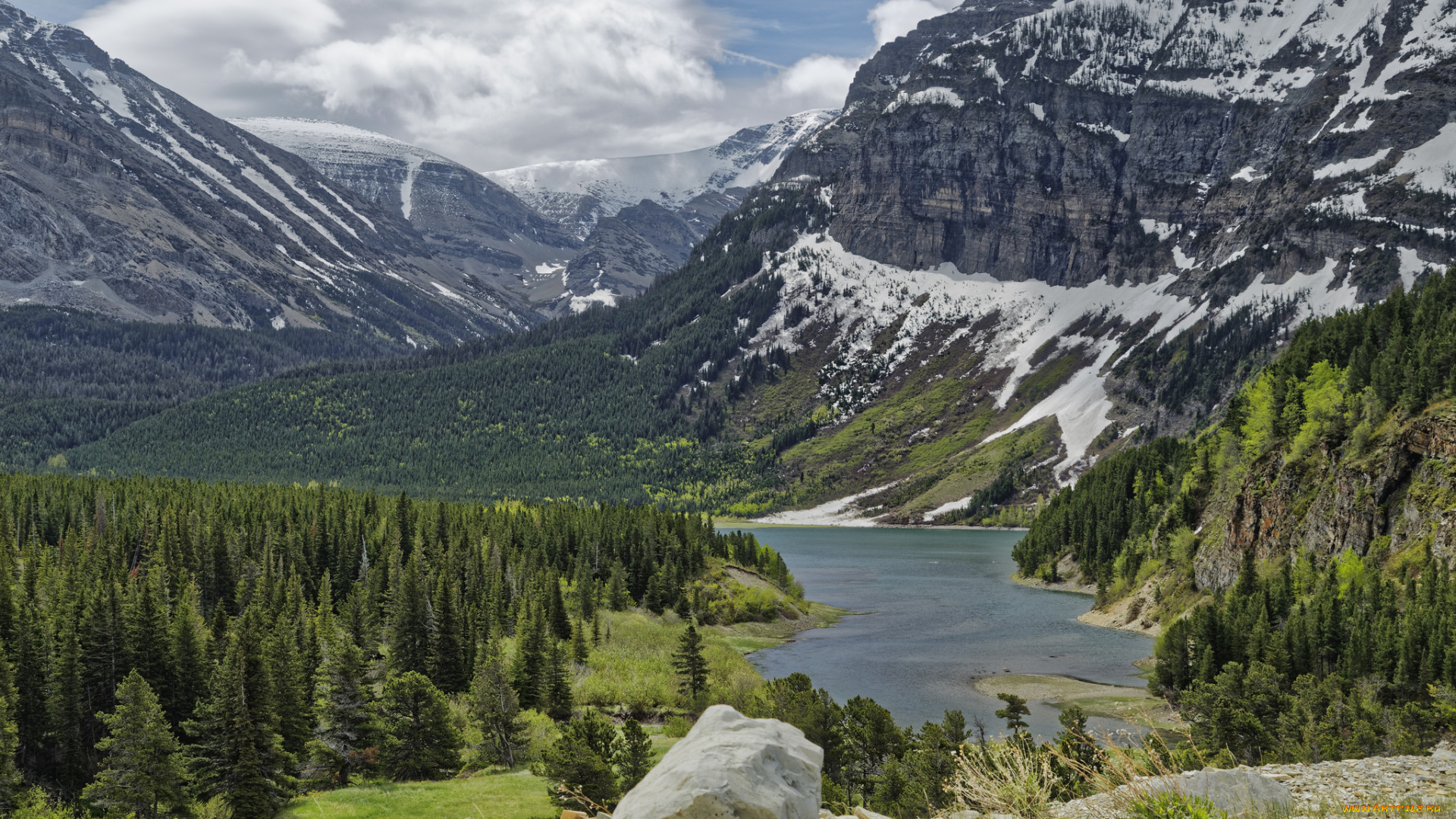 природа, реки, озера, лес, река