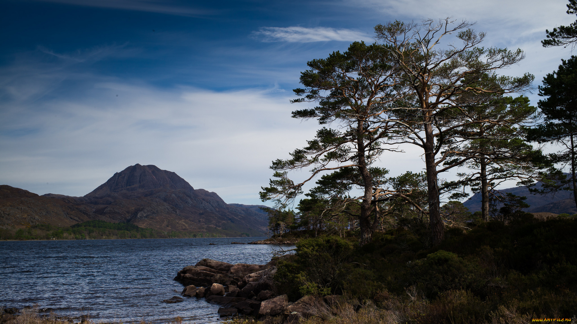 природа, реки, озера, лес, река