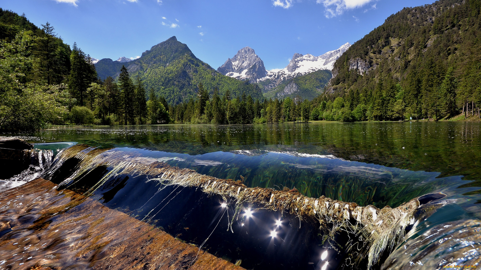 природа, реки, озера, лес, река