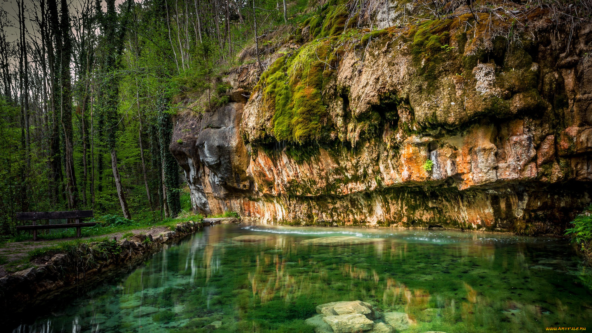 природа, реки, озера, лес, река