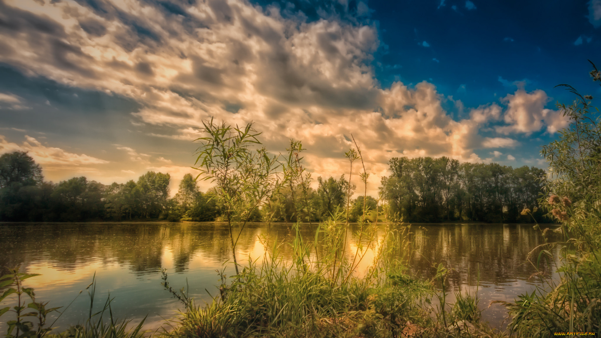 природа, реки, озера, река, лес