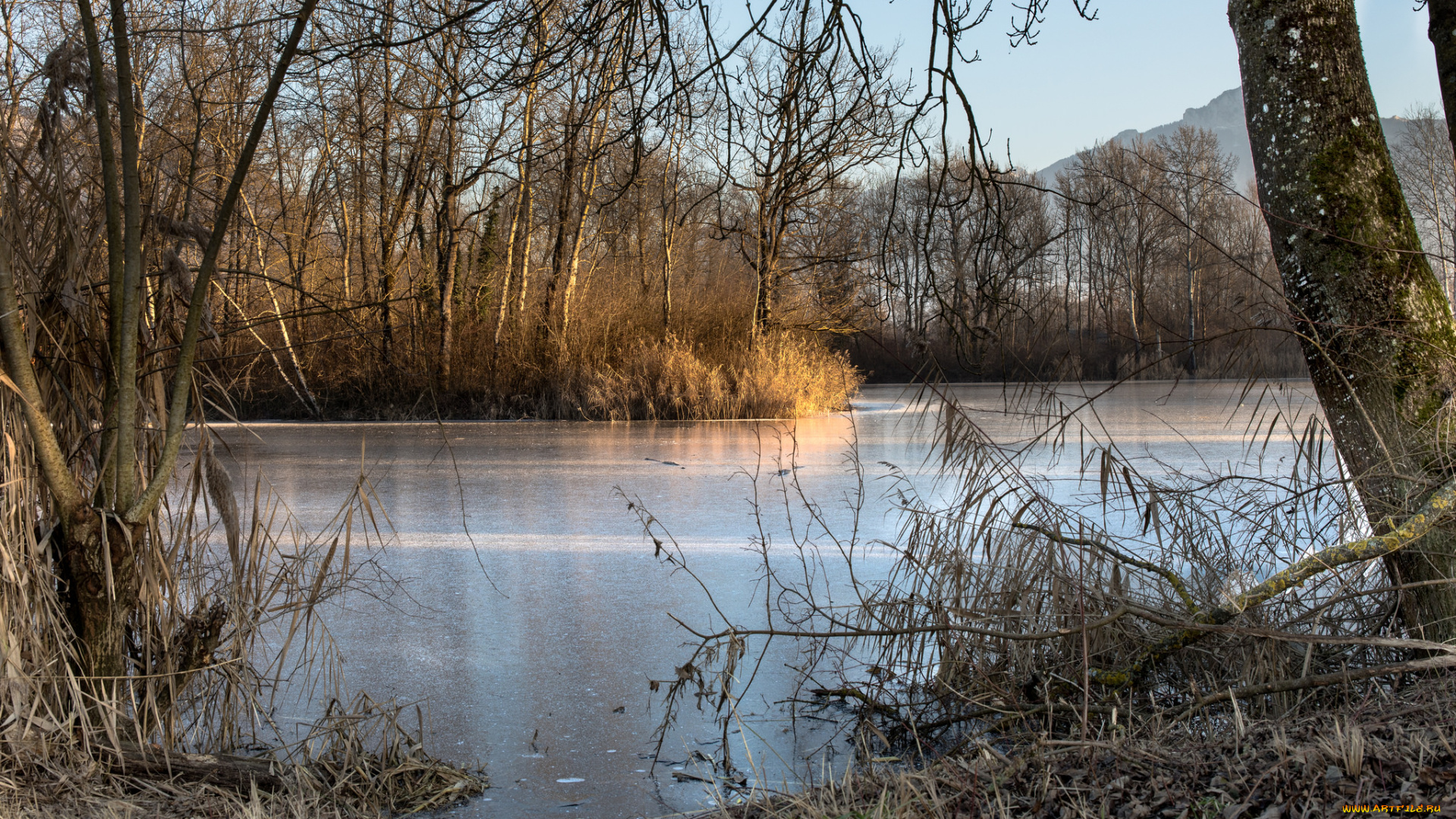 природа, реки, озера, река, лес