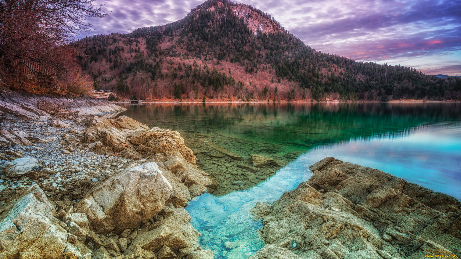 природа, реки, озера, река, лес