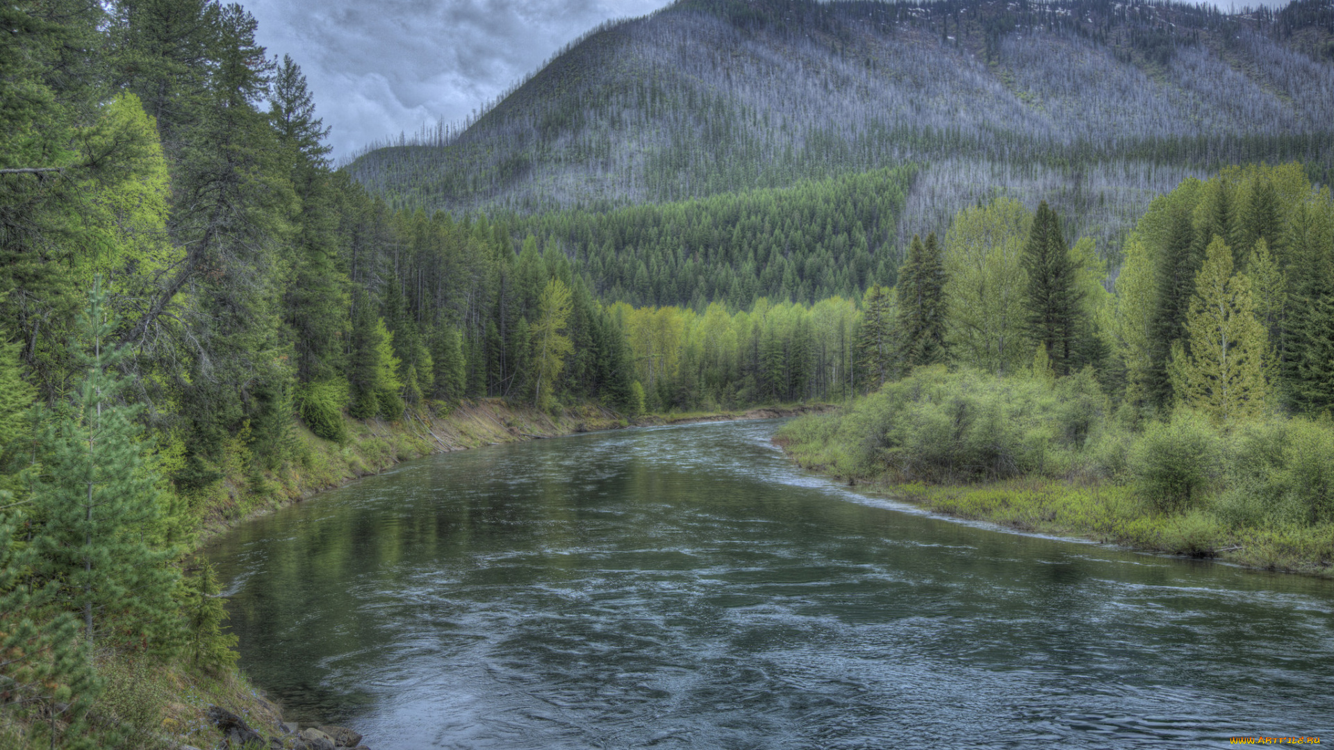 природа, реки, озера, река, лес