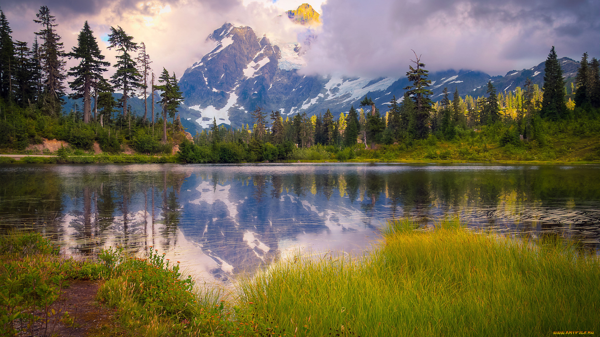 природа, реки, озера, река, лес