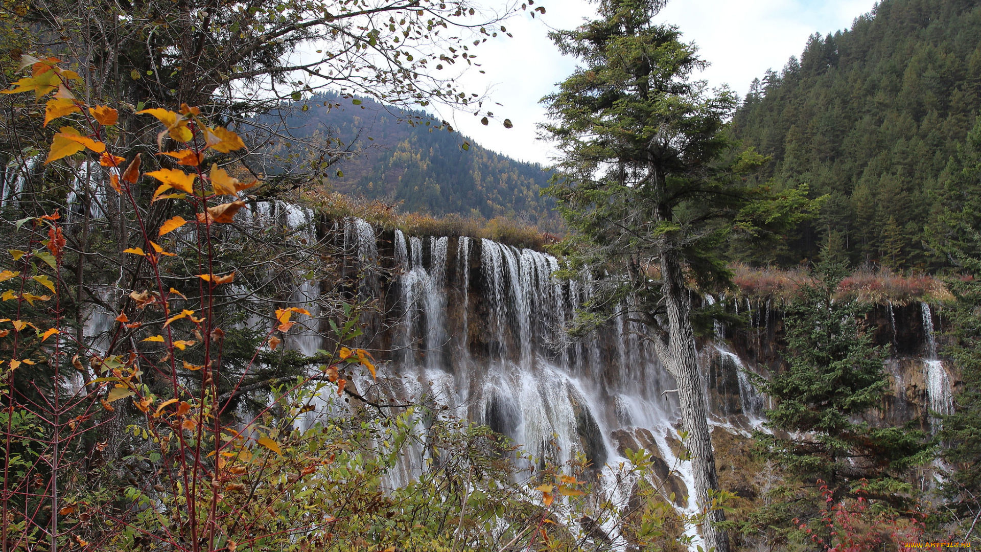 природа, водопады, лес, река, водопад