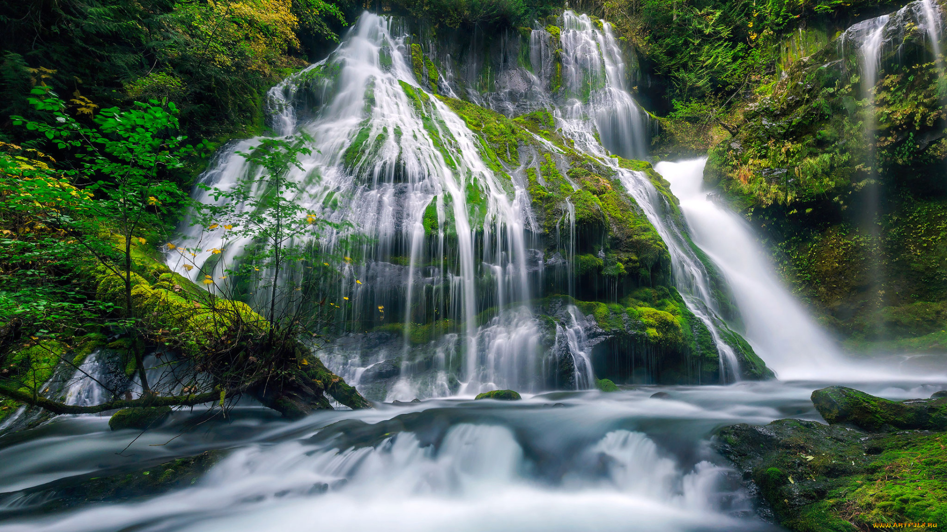 природа, водопады, лес, река, водопад