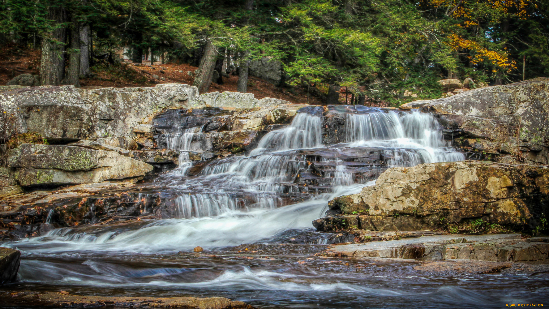 природа, водопады, лес, река, водопад