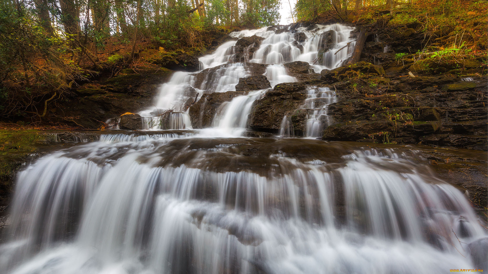 природа, водопады, лес, река, водопад