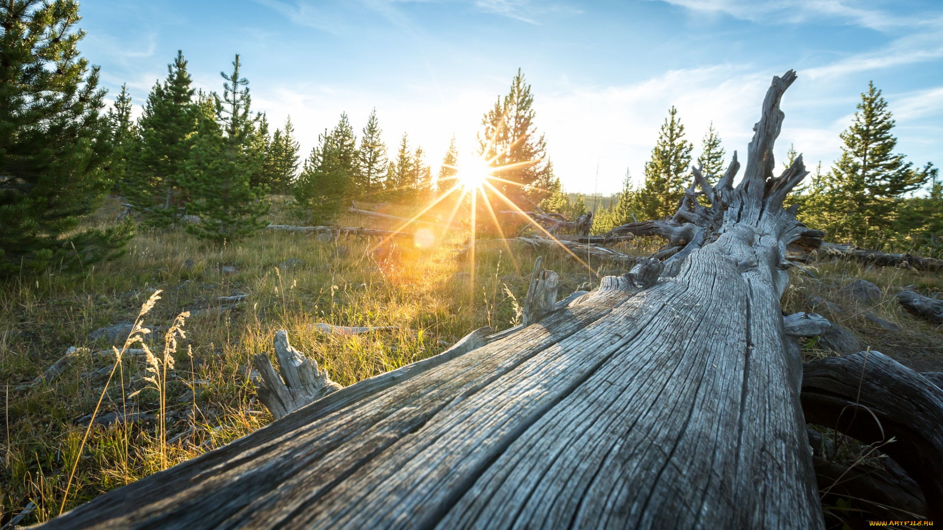 природа, восходы, закаты, рассвет
