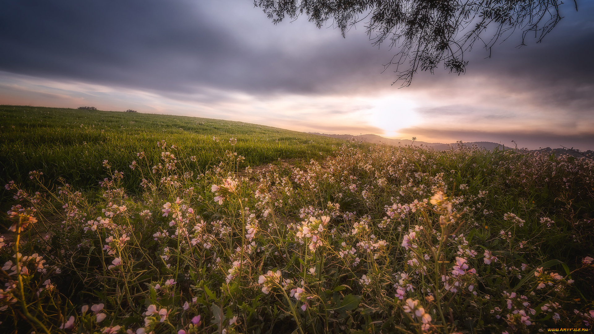 природа, восходы, закаты, рассвет
