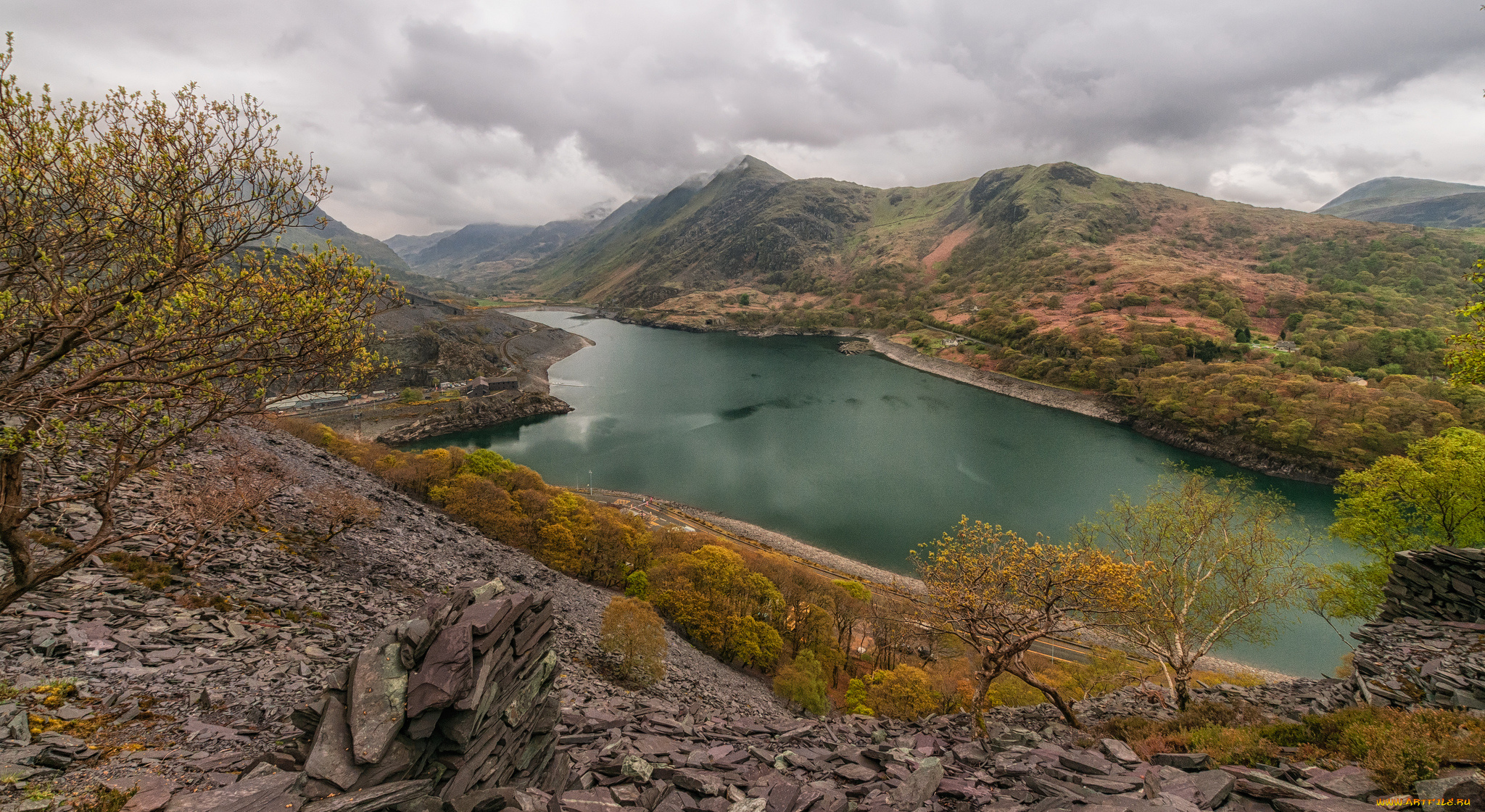 природа, реки, озера, лес, река